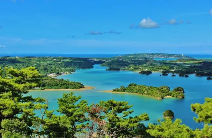 Natural landscape in E-horizon Resort コンドミニアム名護B