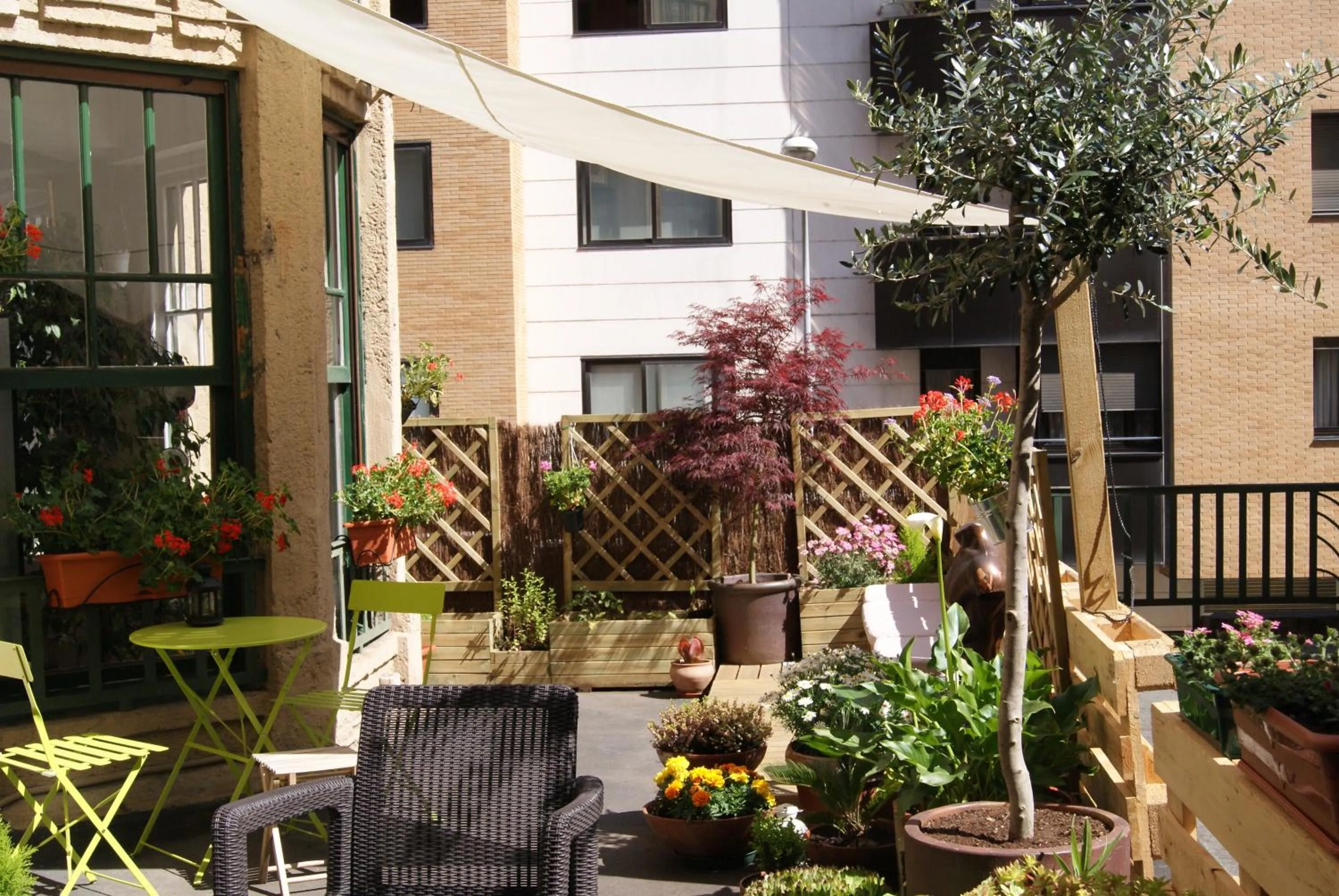 Garden in Aloha Hostel