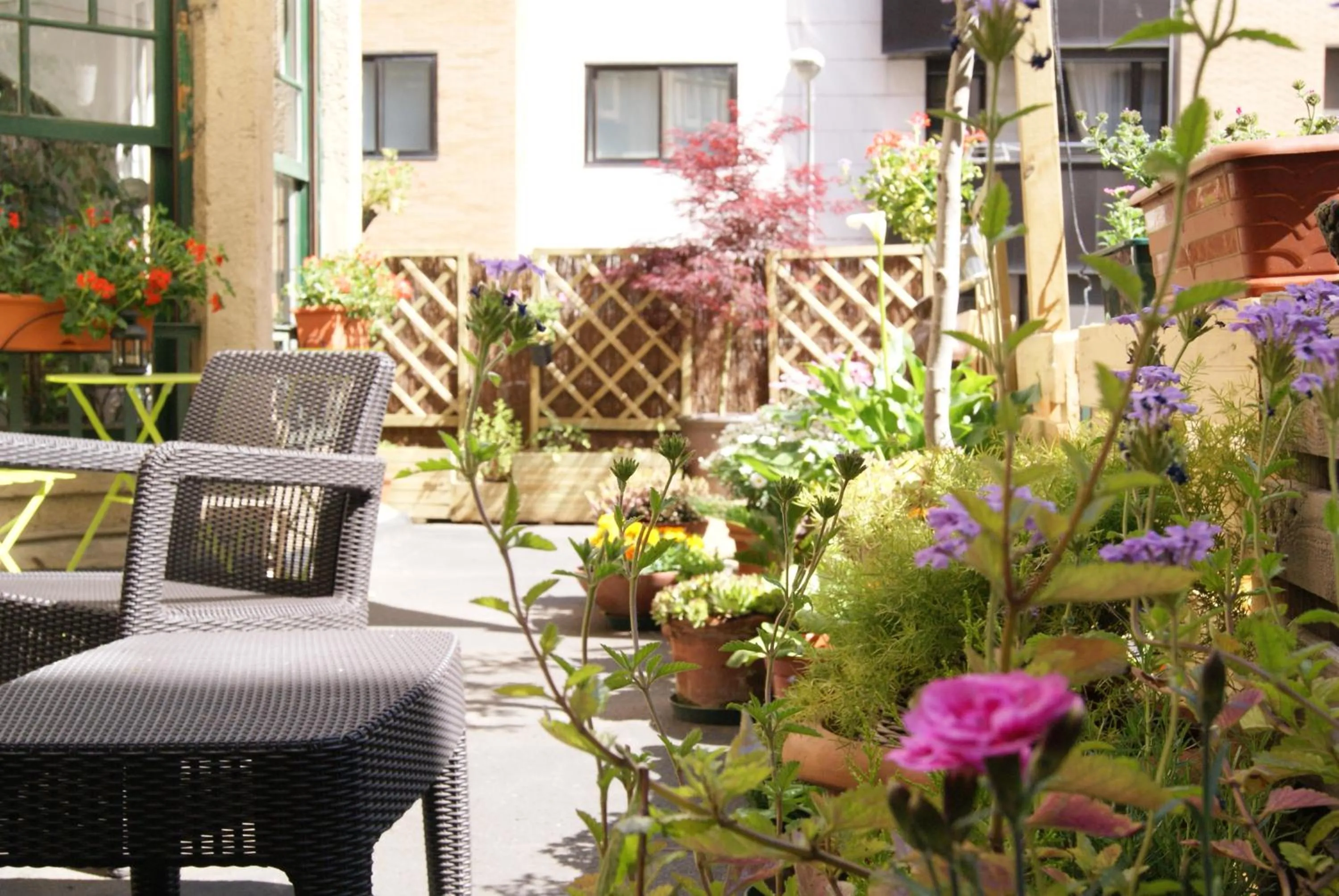 Garden in Aloha Hostel