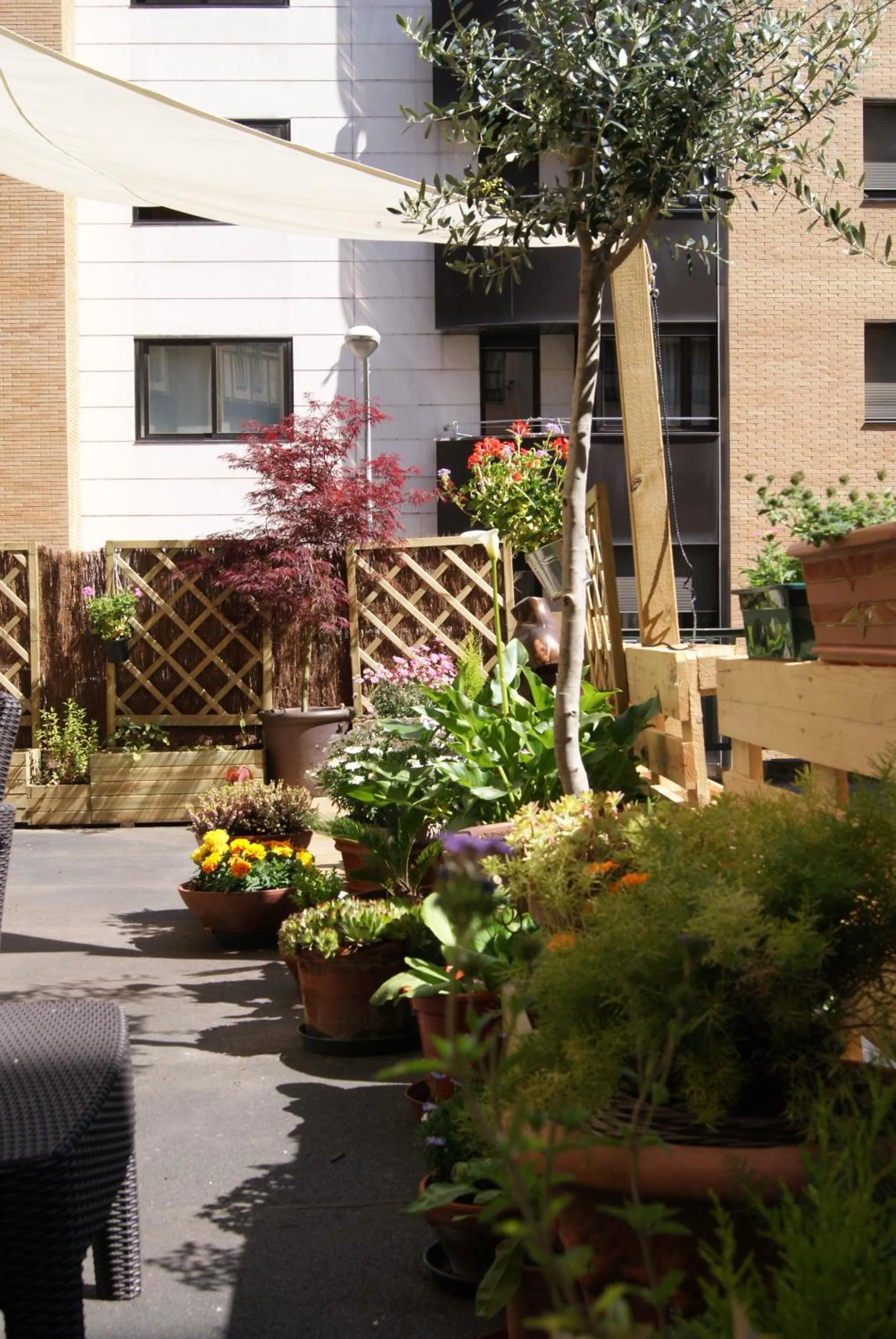 Garden in Aloha Hostel