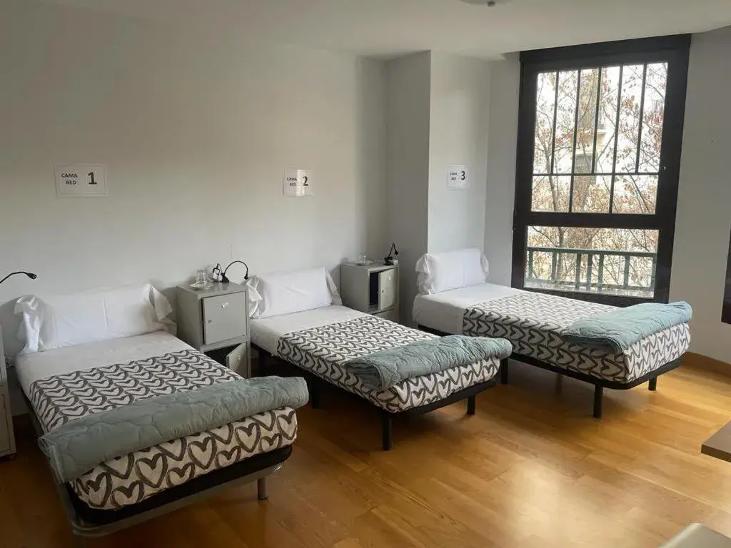 Single Bed in Female Dormitory Room in Aloha Hostel Single Bed in Female Dormitory Room in Aloha Hostel