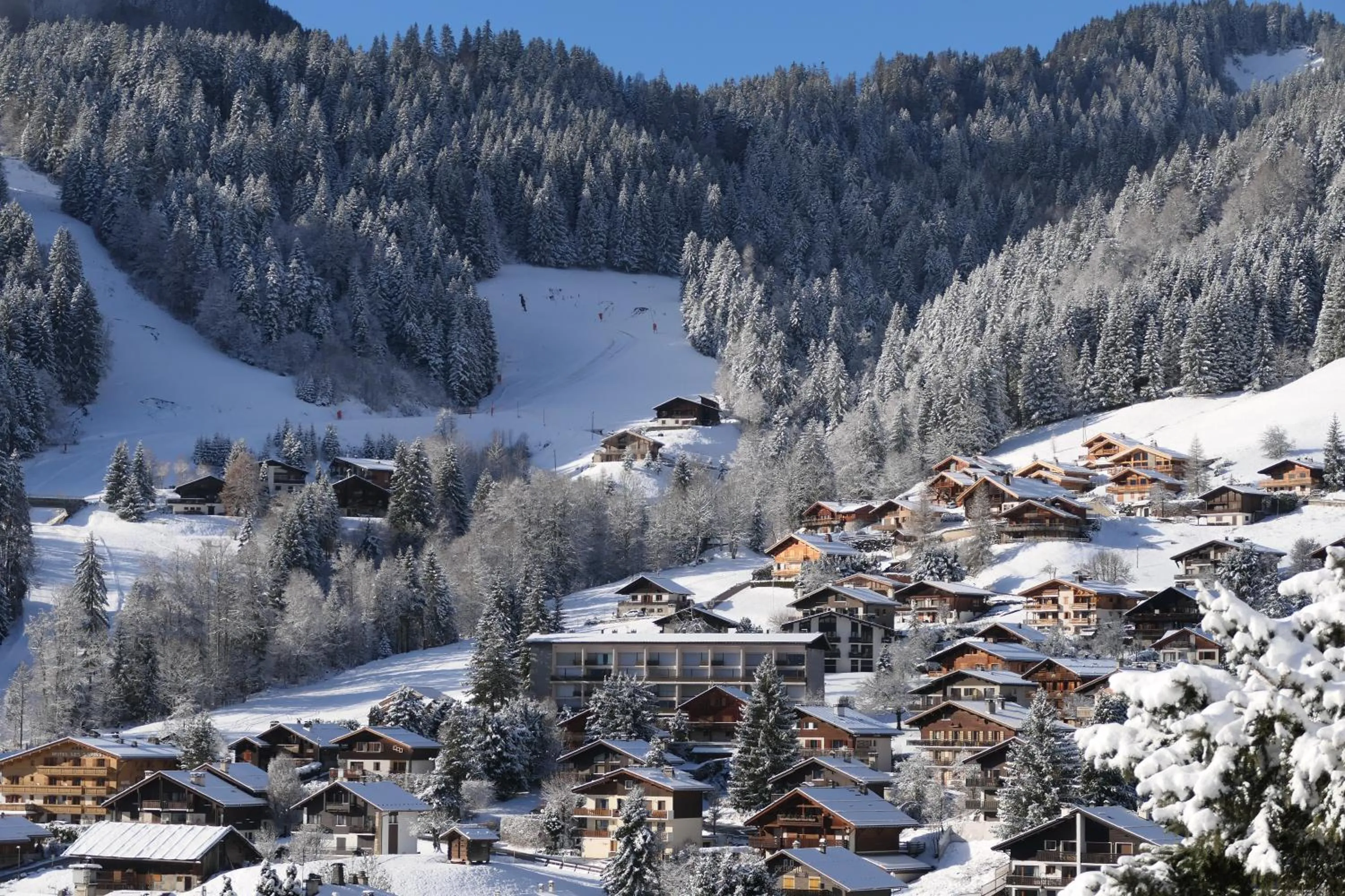 Natural landscape in Hotel Alpen Roc