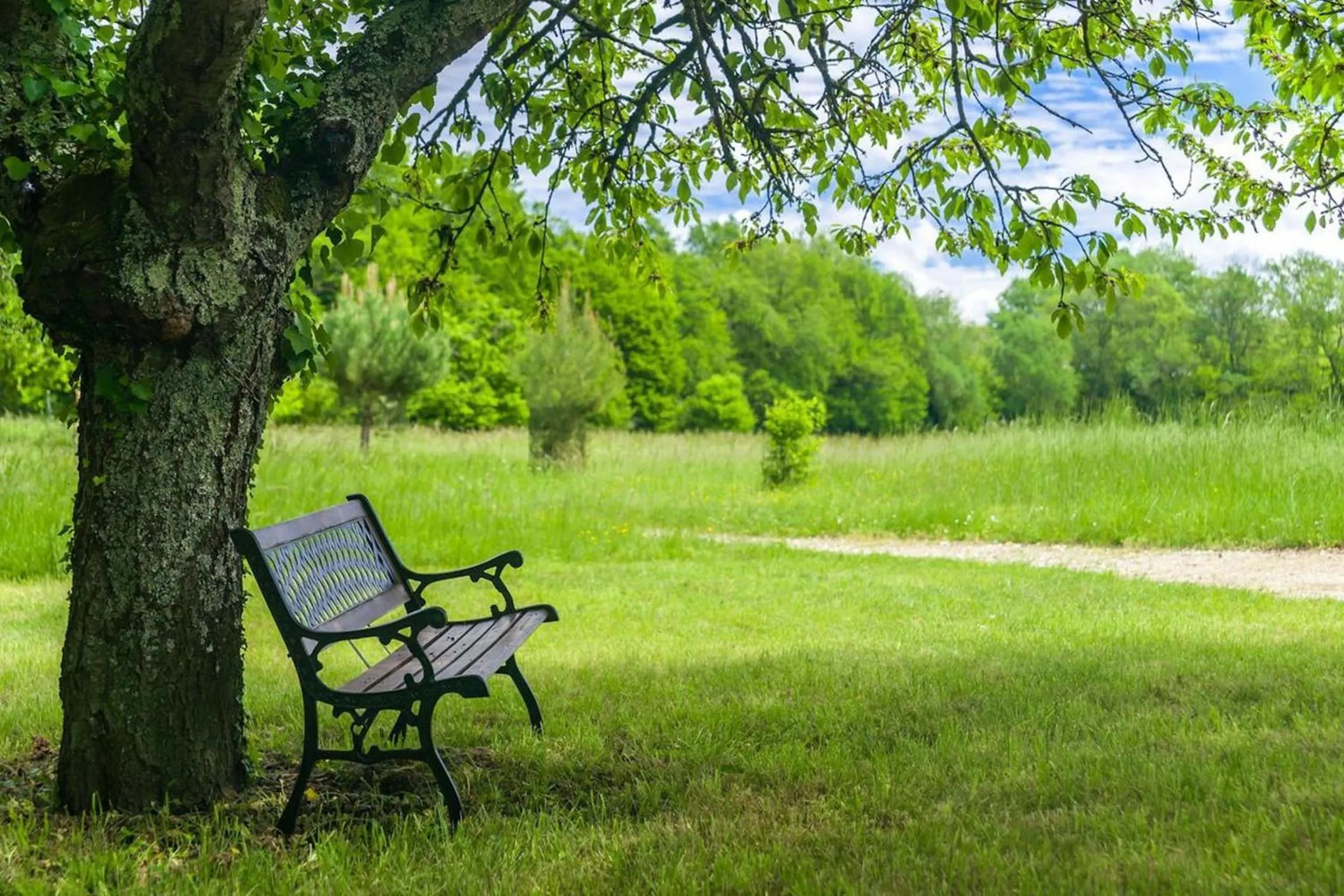 Garden in Hôtel Restaurant du Château de la Tour