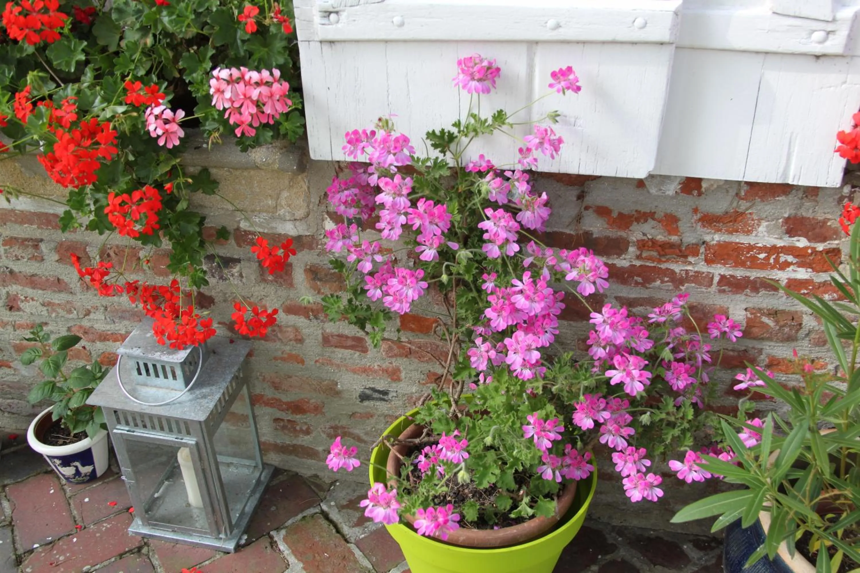 Chambres d'hôtes Manoir du Buquet