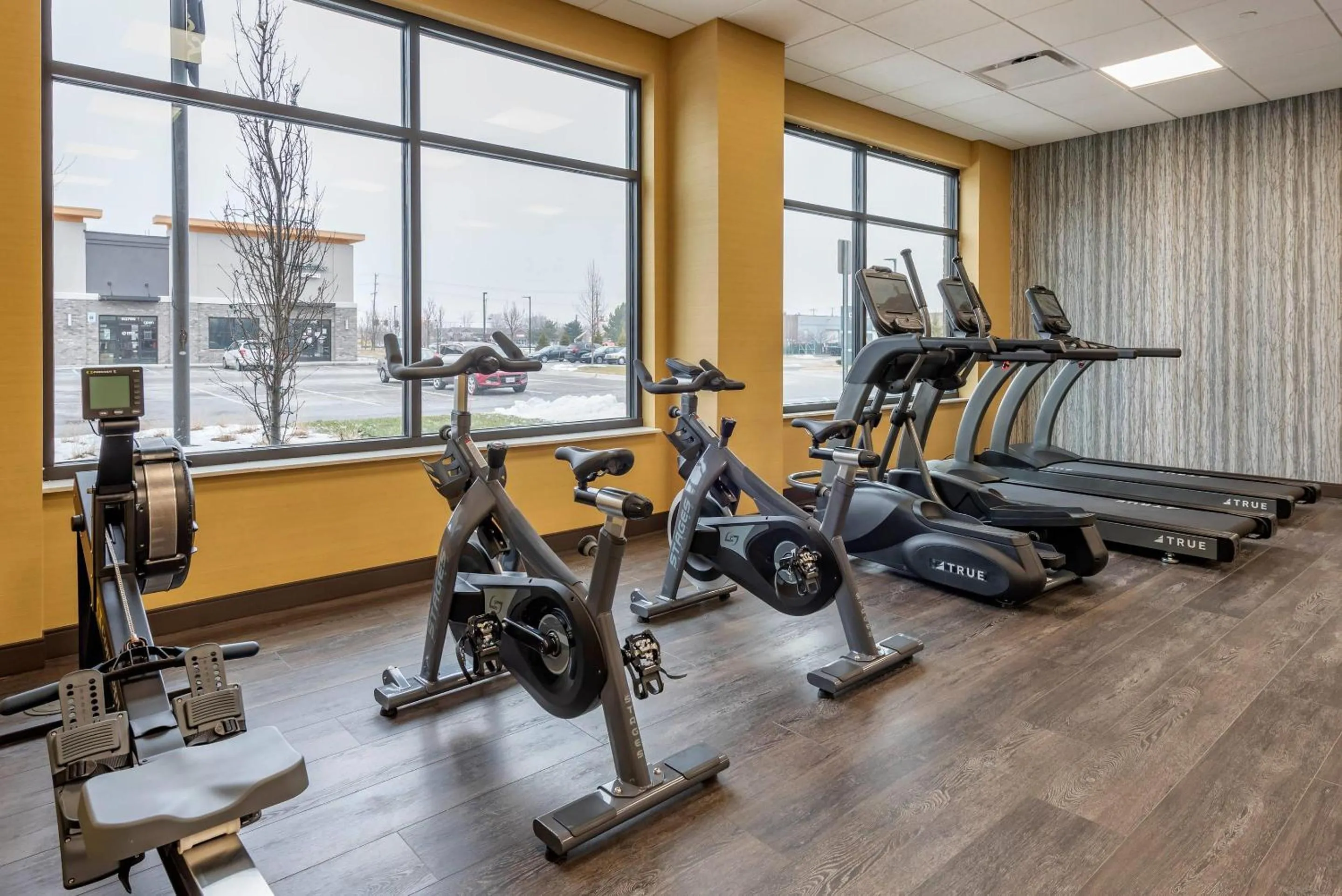 Fitness centre/facilities in Cambria Hotel Shelby Township - Detroit Utica