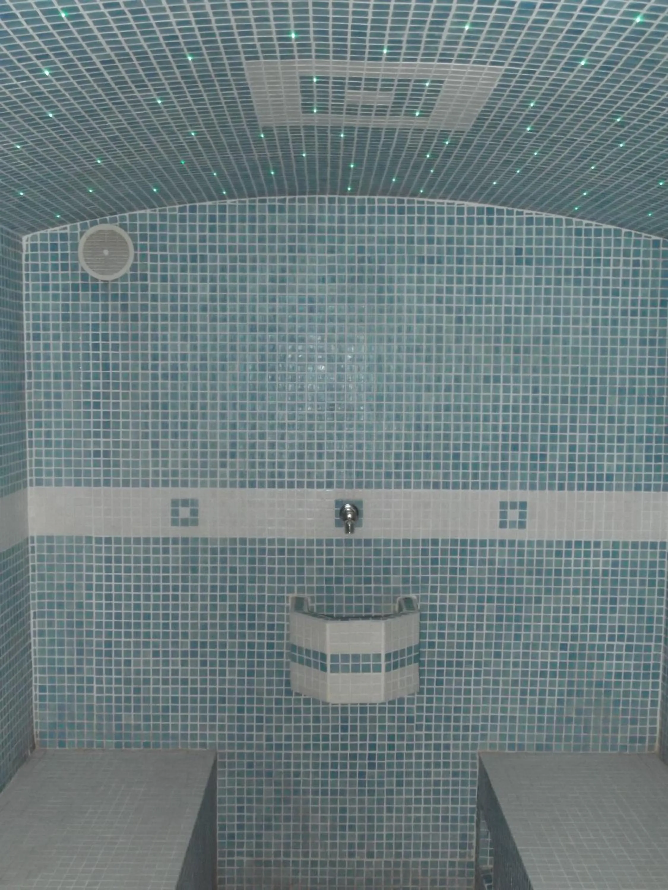 Steam room in Auberge de la Dranse