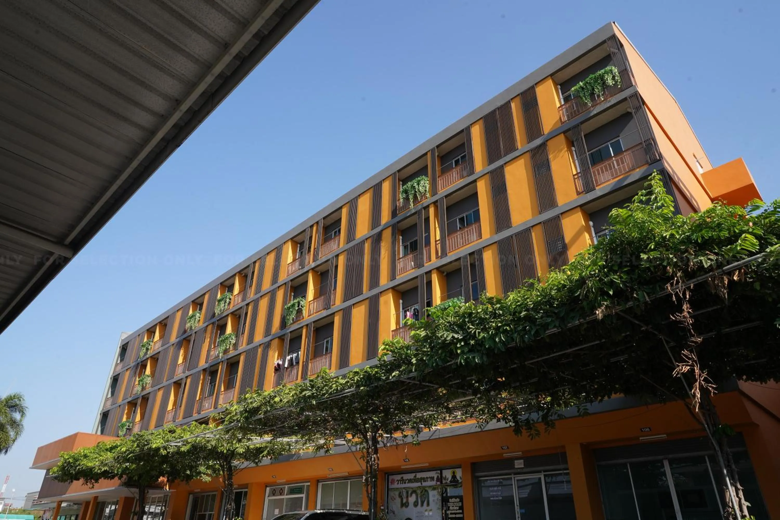 Property building in Fullroom 77 Srinakarin