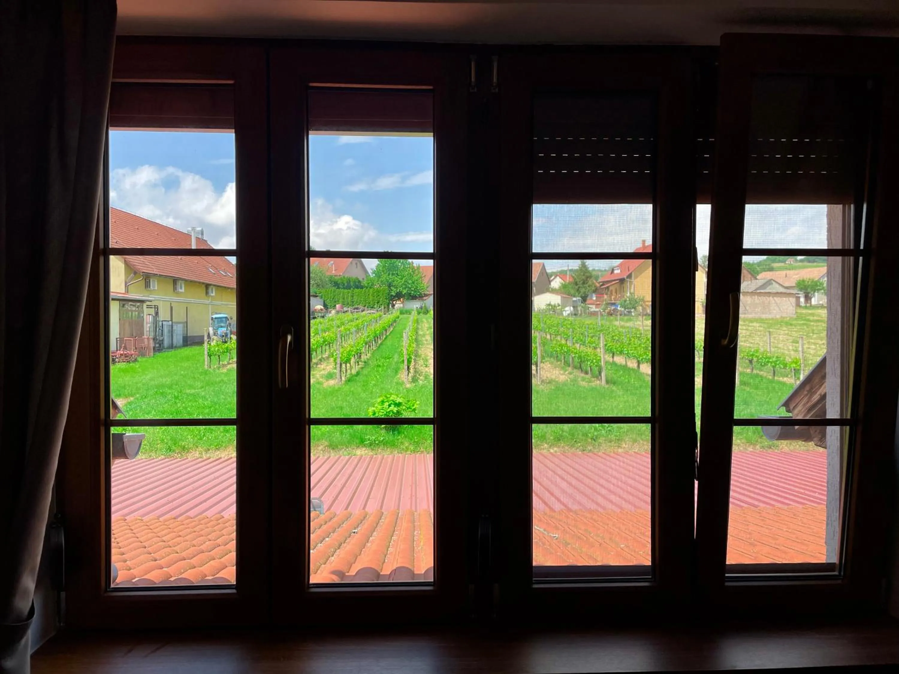 View (from property/room) in Mayer Pince Panzió