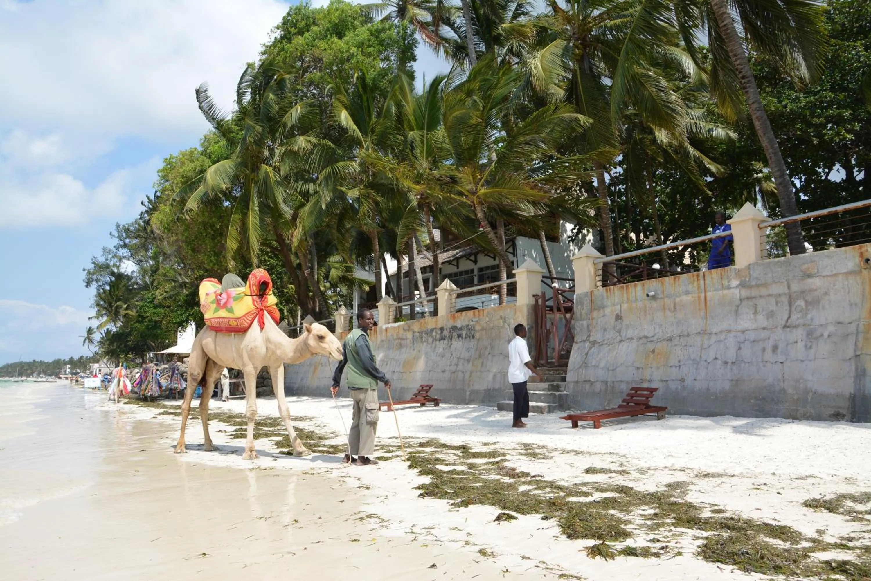 Beach in Neptune Beach Resort - All Inclusive