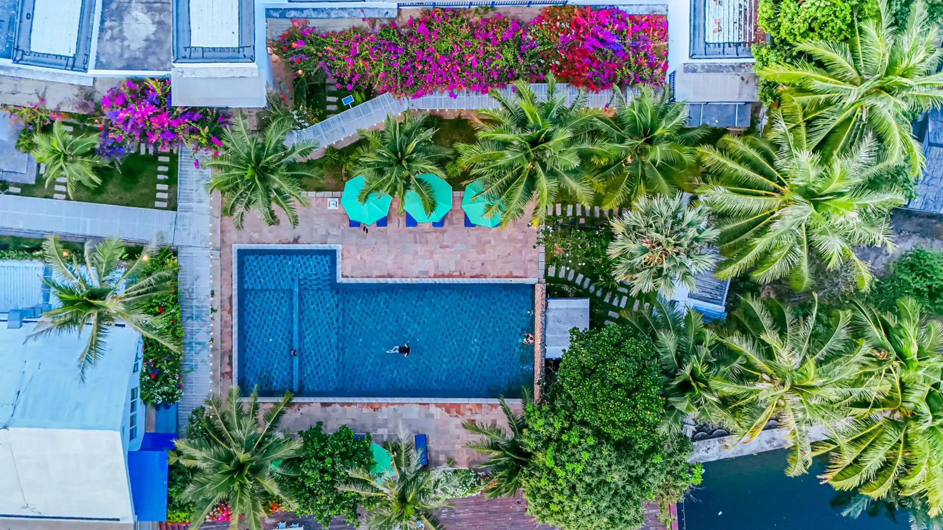 Spring in The B Resort