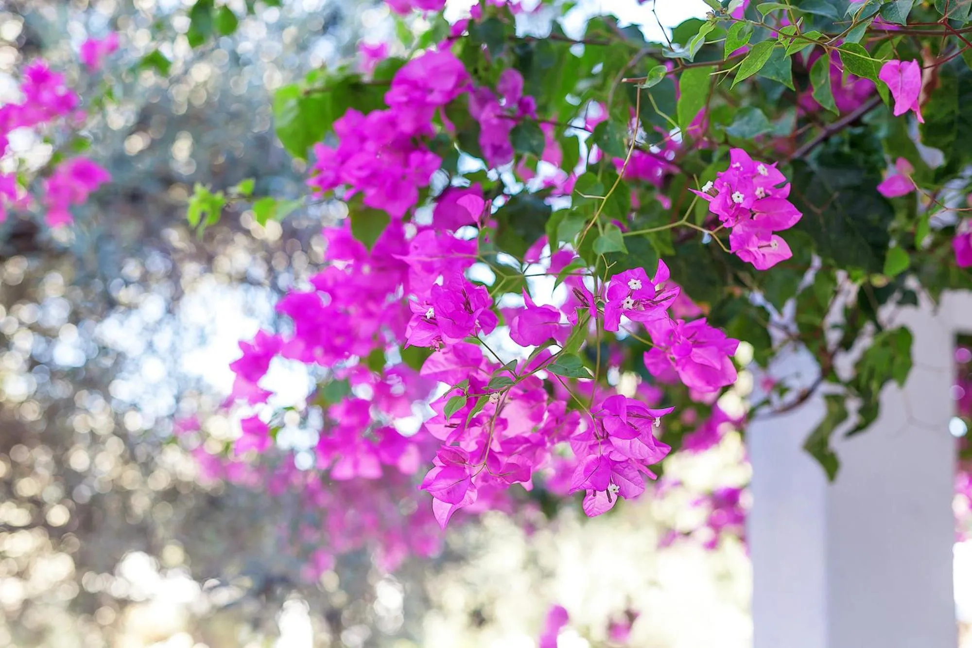 View (from property/room) in The Ship Inn Hotel