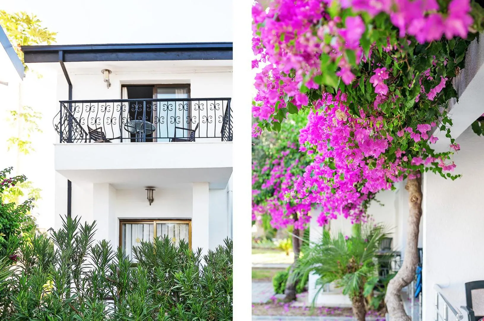 View (from property/room) in The Ship Inn Hotel