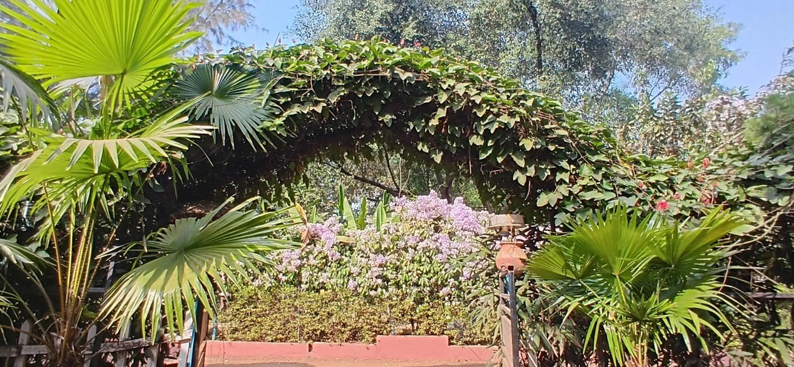 Garden view in Panchobon Art Resort