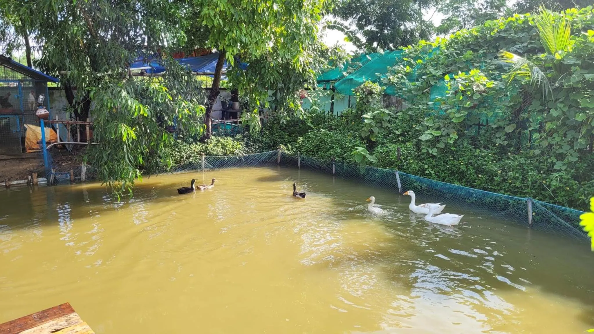 Natural landscape in Panchobon Art Resort