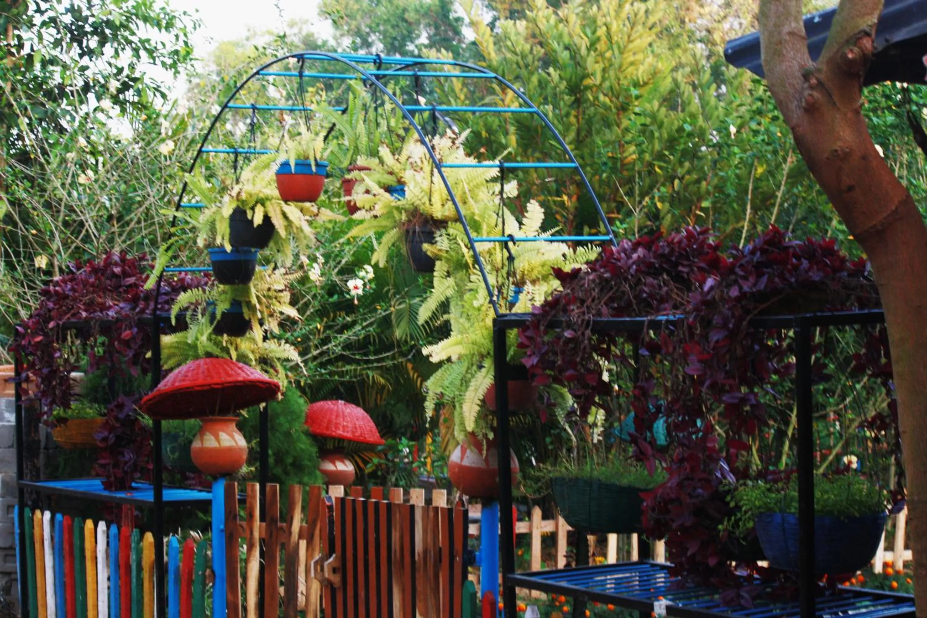 Patio in Panchobon Art Resort