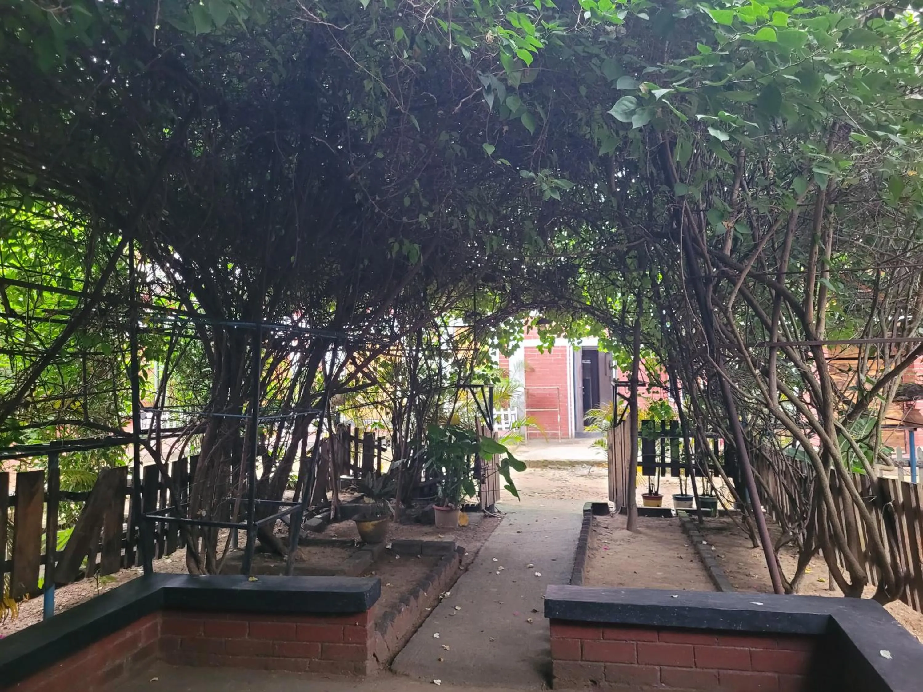 Balcony/Terrace in Panchobon Art Resort