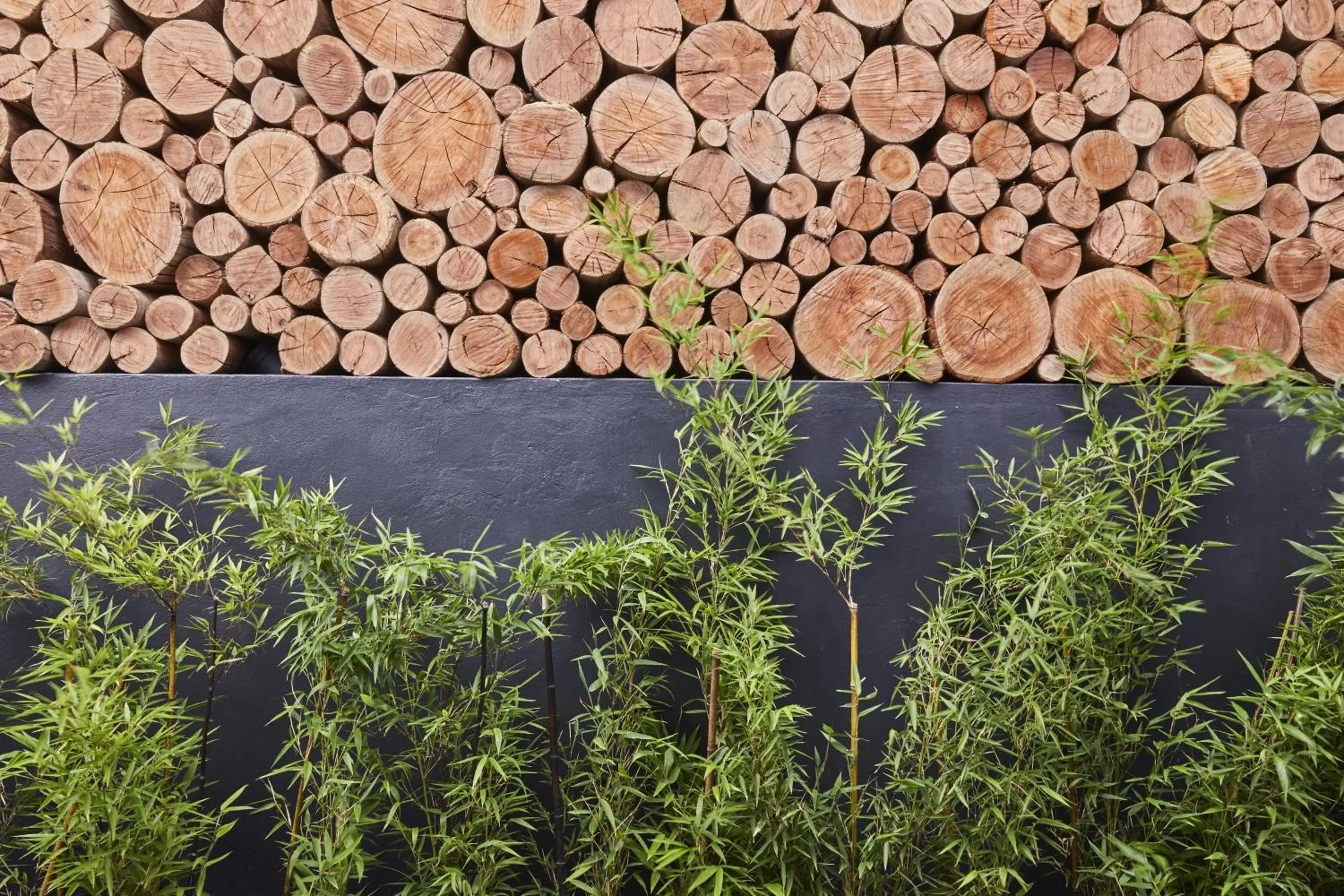 Pineapple House Boutique Hotel