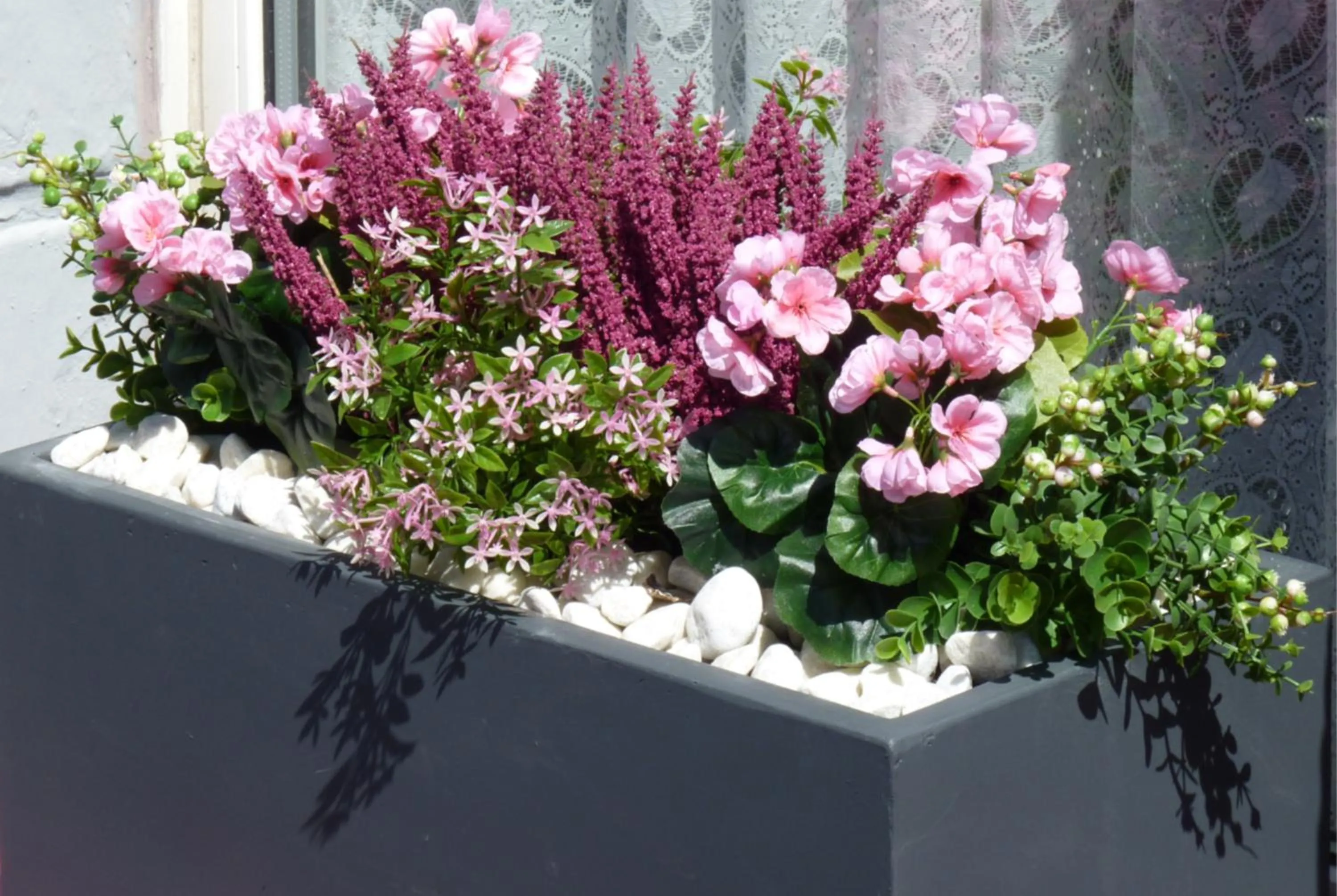 Property building in Apollo Guest House