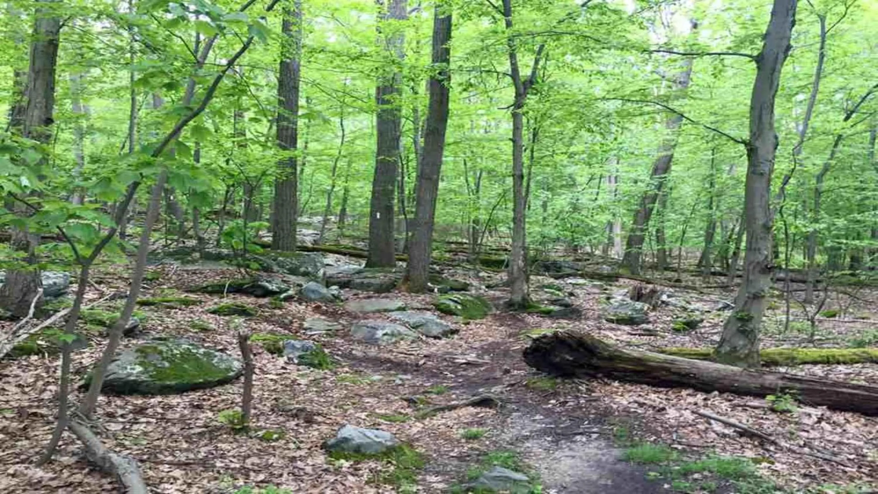 Nearby landmark in Holiday Inn Express & Suites Brunswick-Harpers Ferry Area by IHG