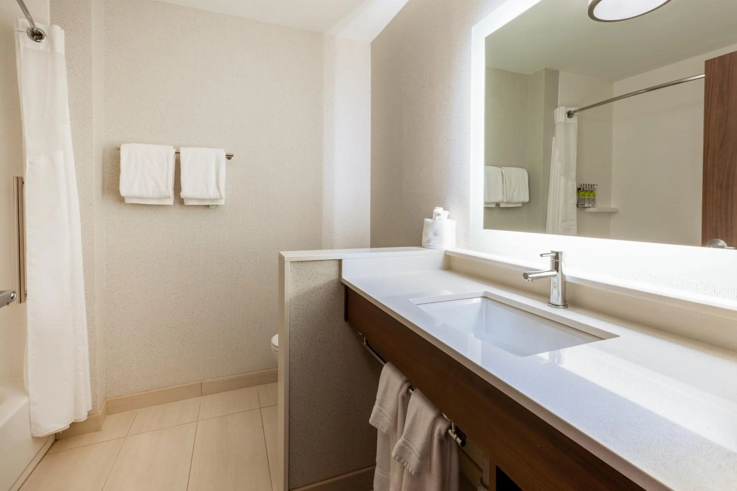 Bathroom in Holiday Inn Express & Suites Brunswick-Harpers Ferry Area by IHG