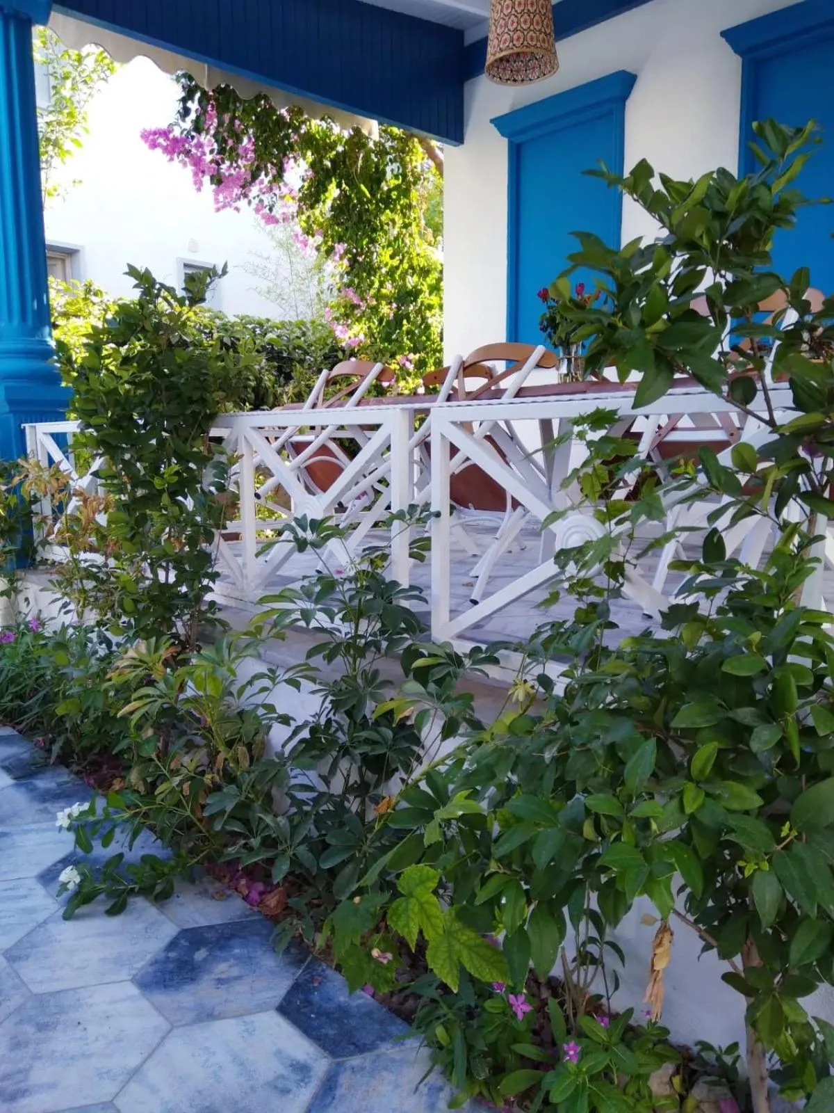 Garden in Marina Hotel Bodrum