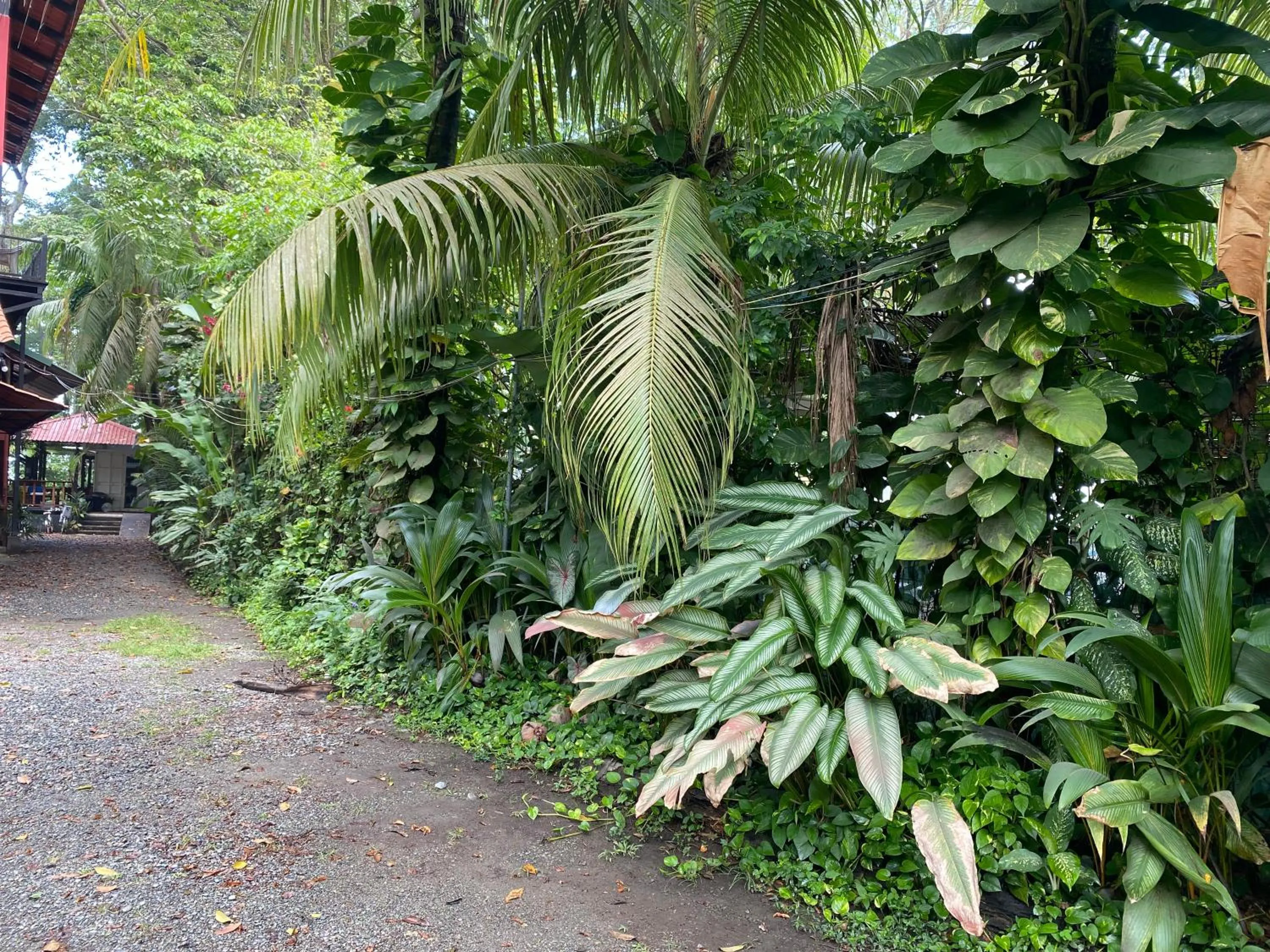 Natural landscape in Hotel Casa Vito Beachfront