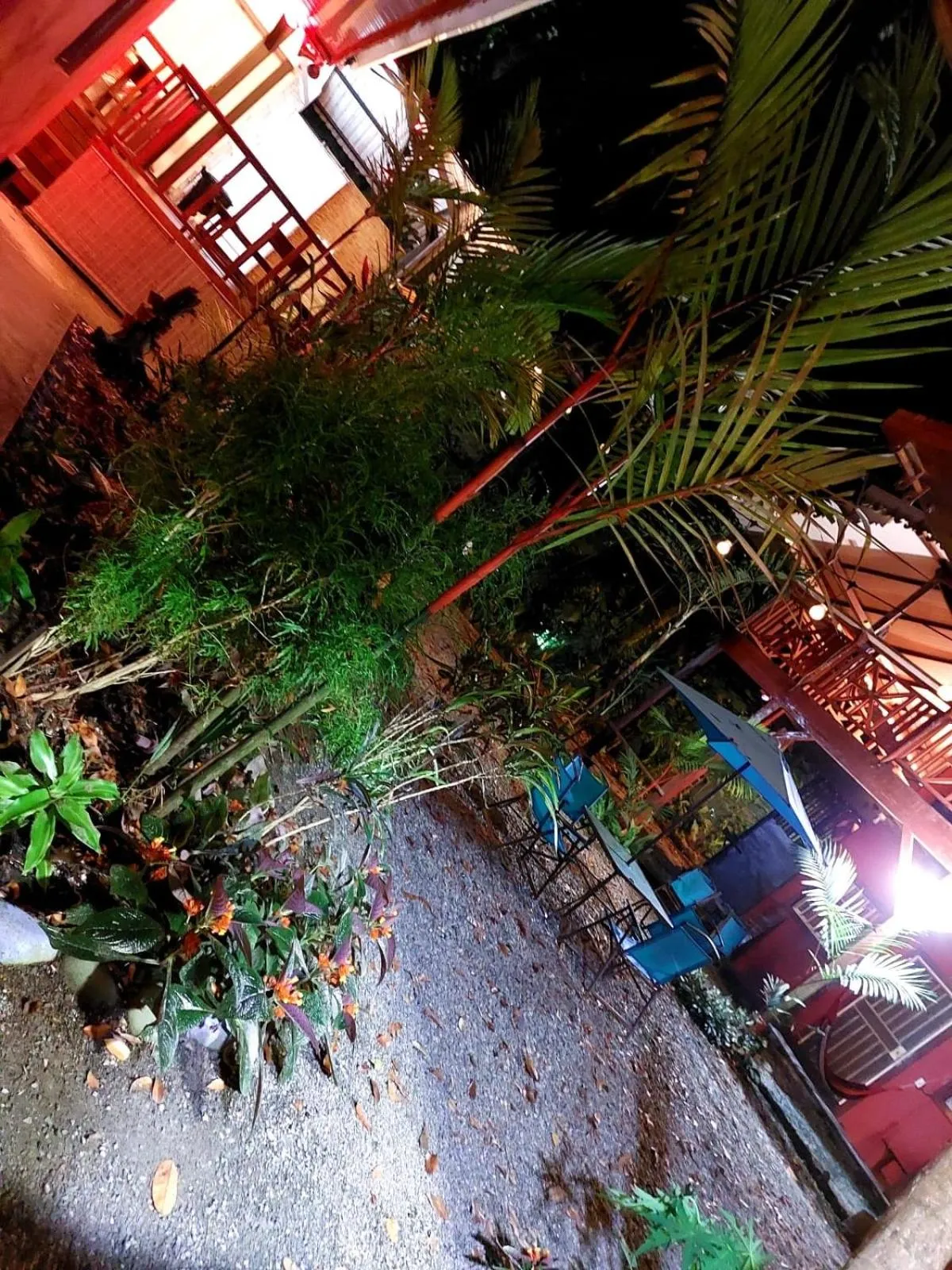 Garden in Hotel Casa Vito Beachfront