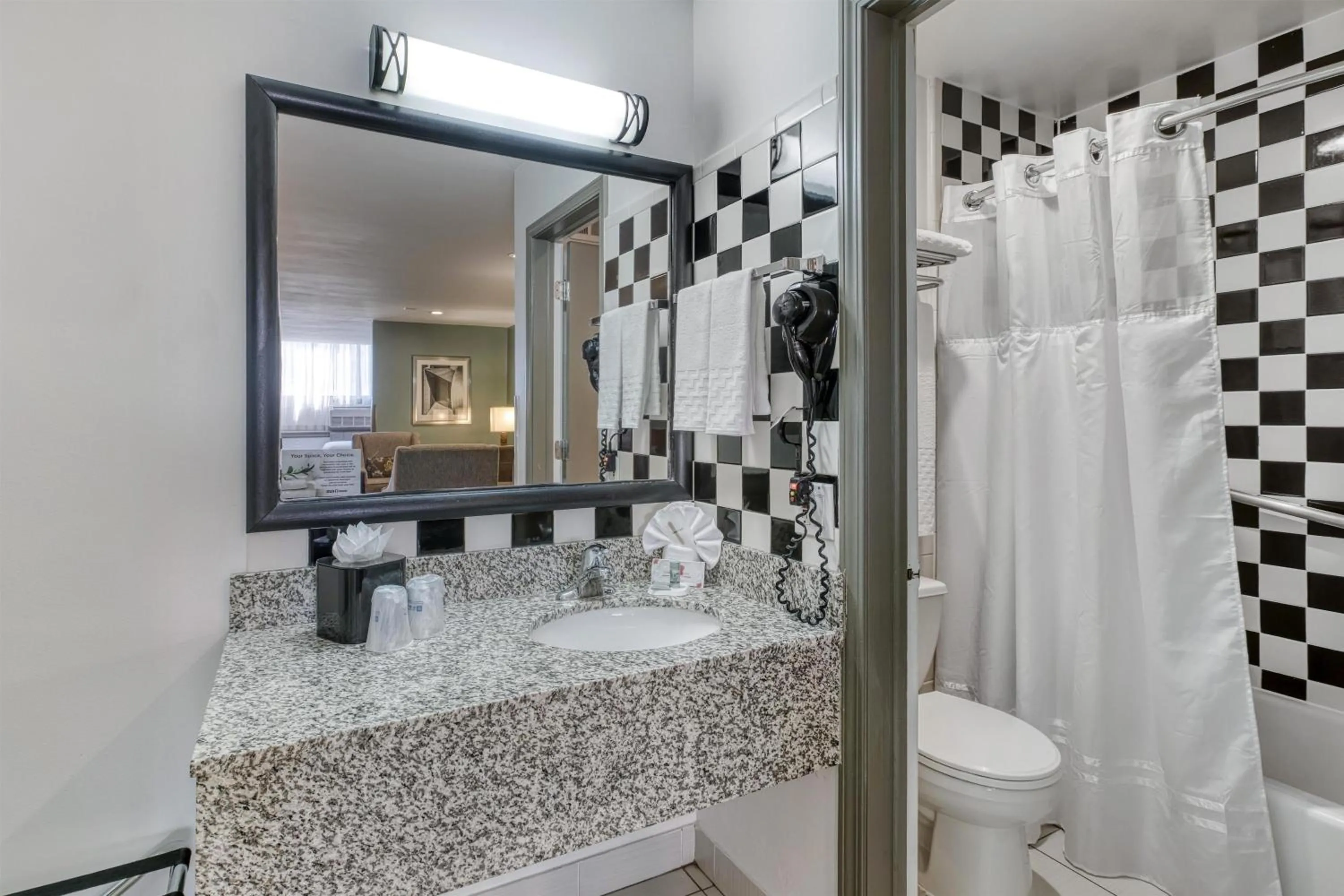 Bathroom in Best Western Chicago Downtown-River North