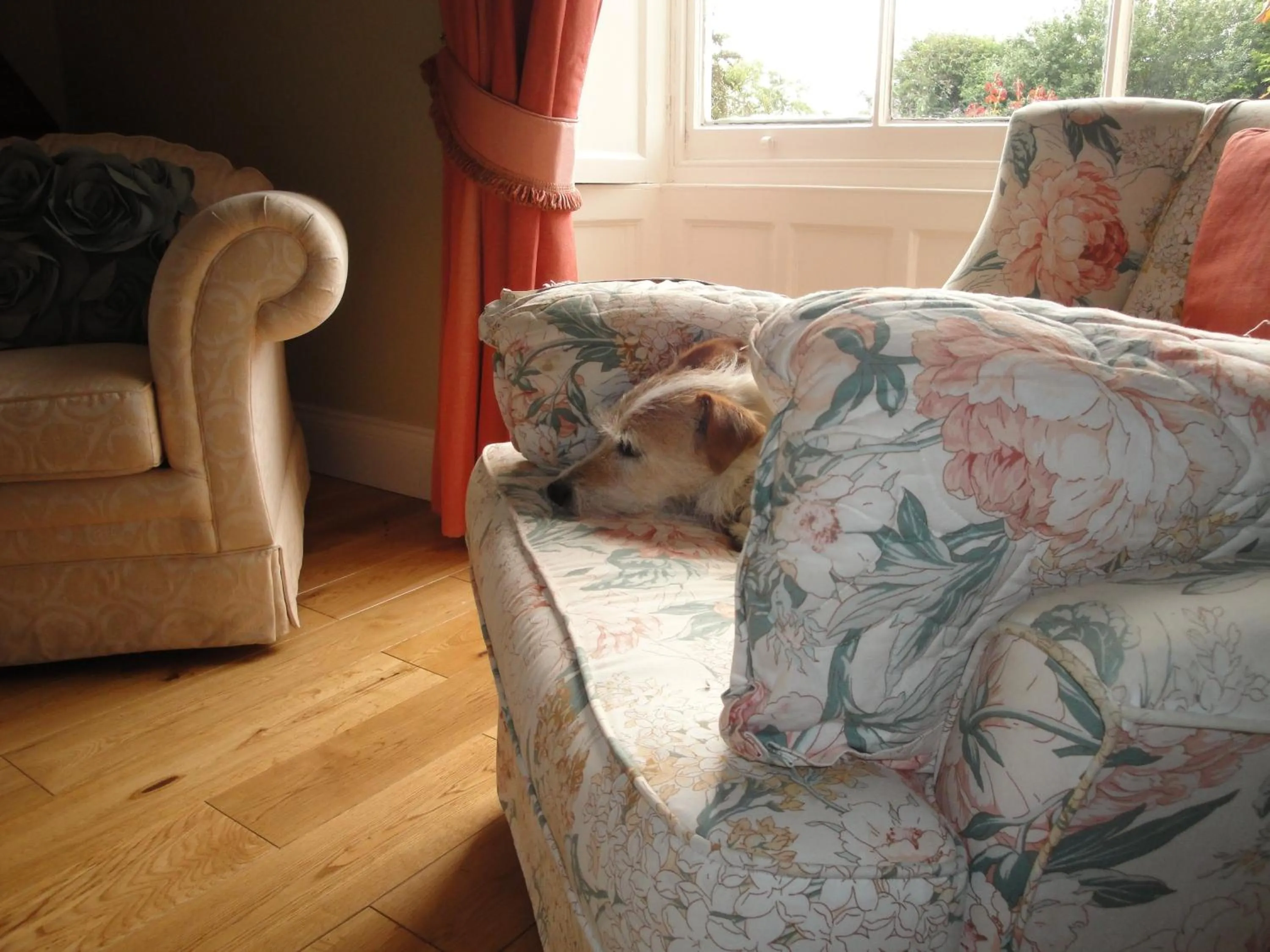 Day in Cary Fitzpaine House