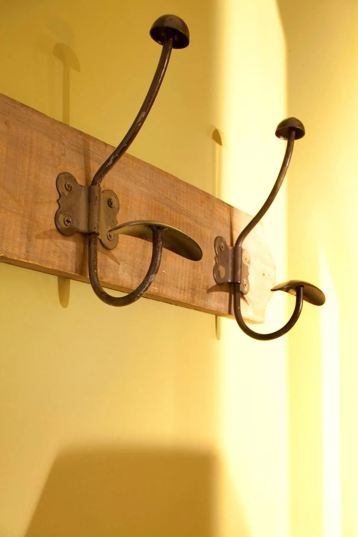 Decorative detail in Hôtel Sainte-Beuve