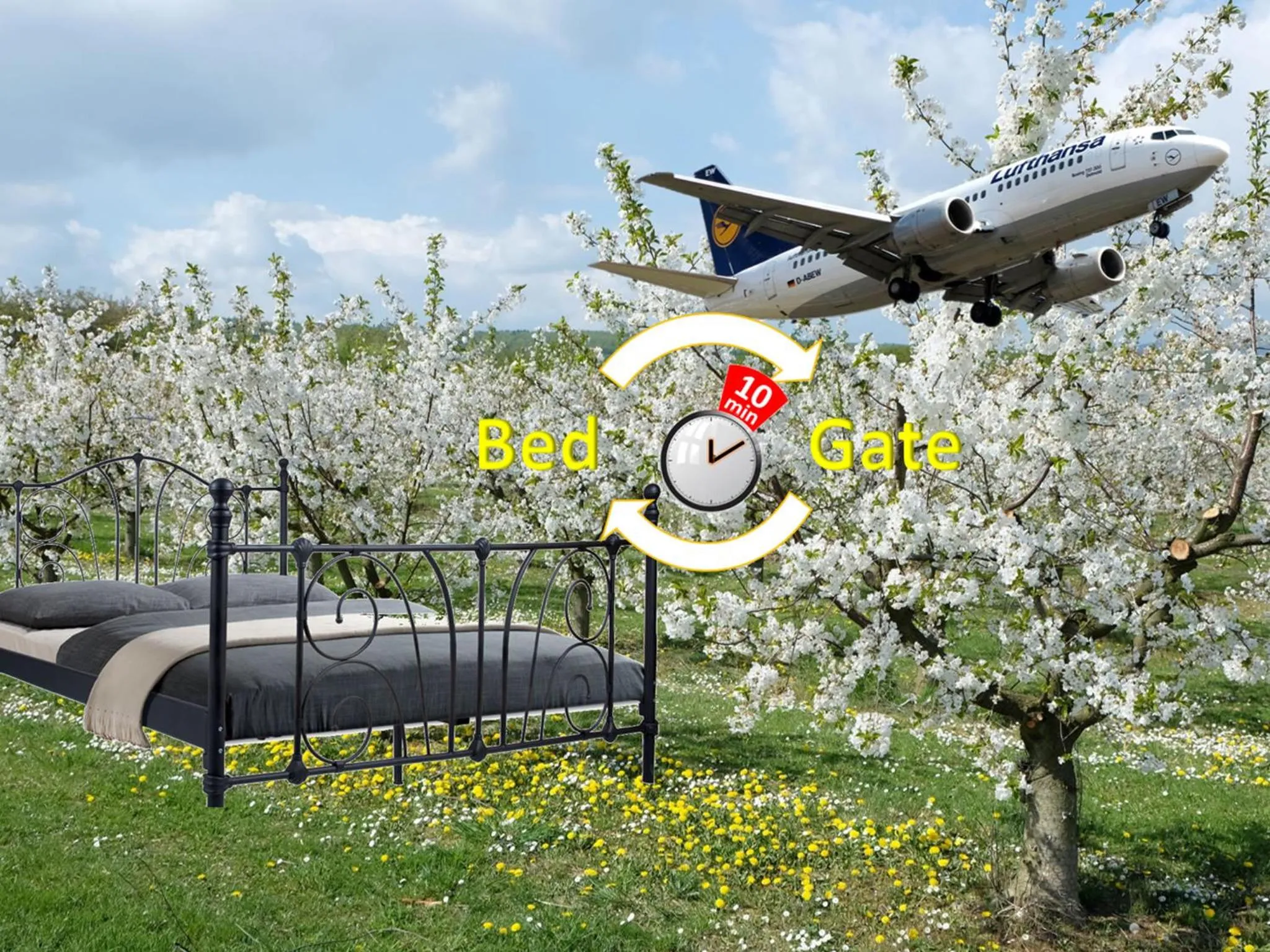 Area and facilities in VILLA ORCHARD Frankfurt