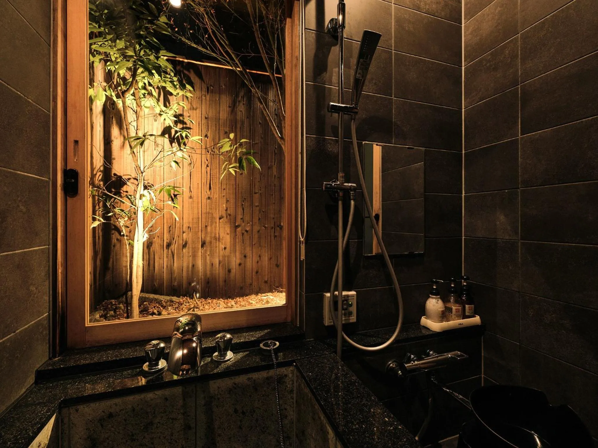 Shower in Tsumugi Hachijominamotocho