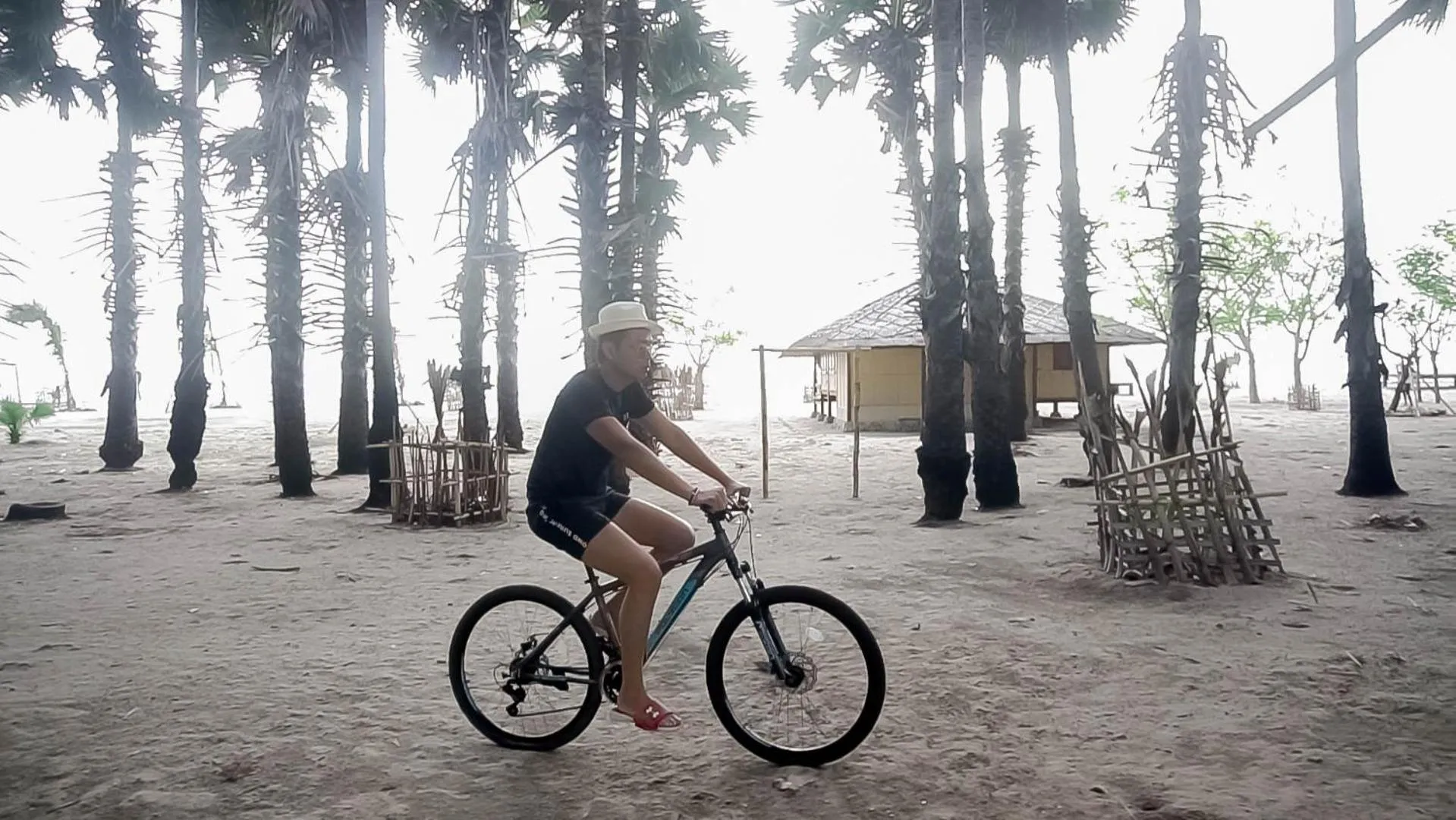 Activities in Costa Beach Resort & Club