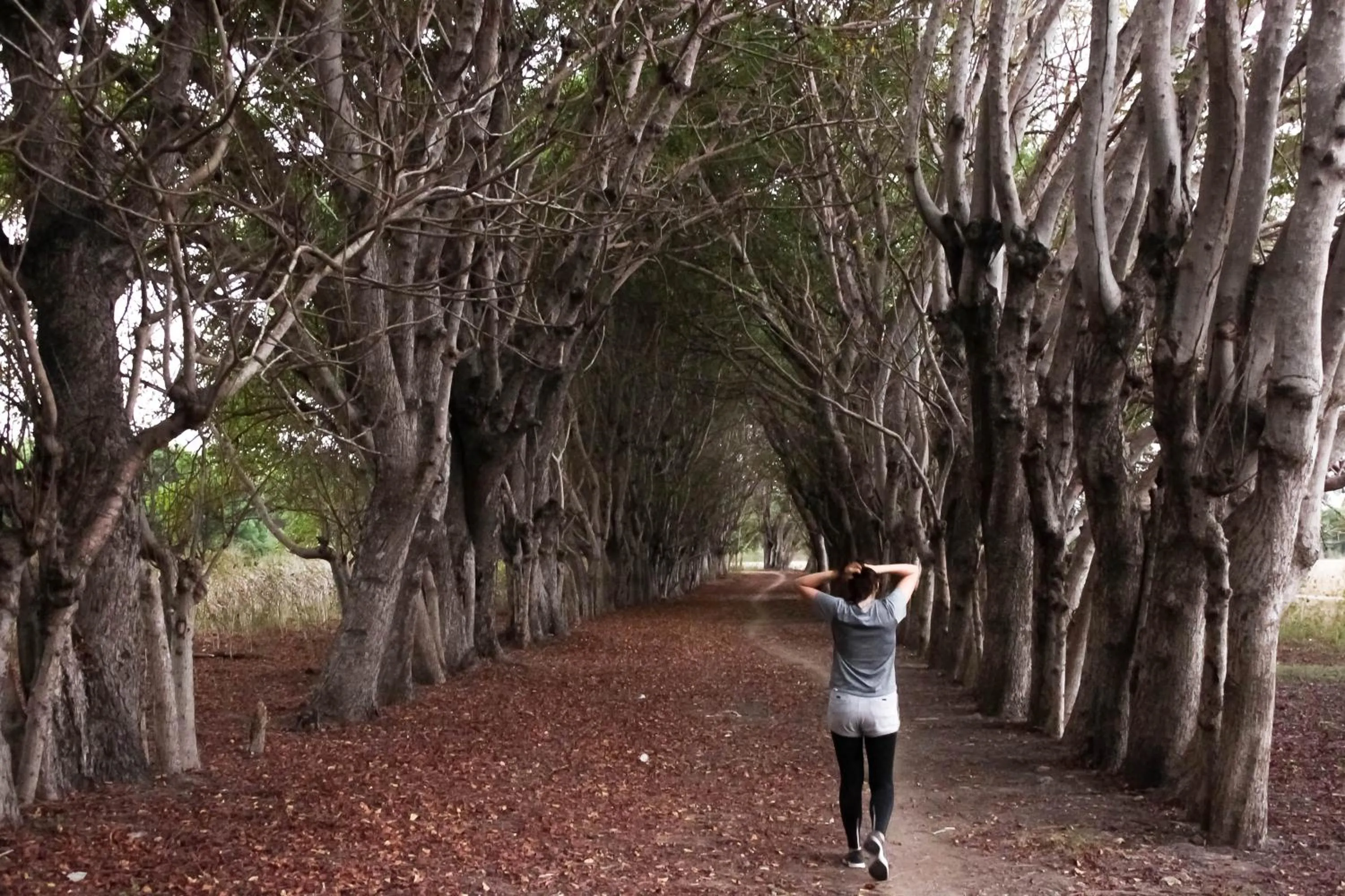 Sports in Costa Beach Resort & Club