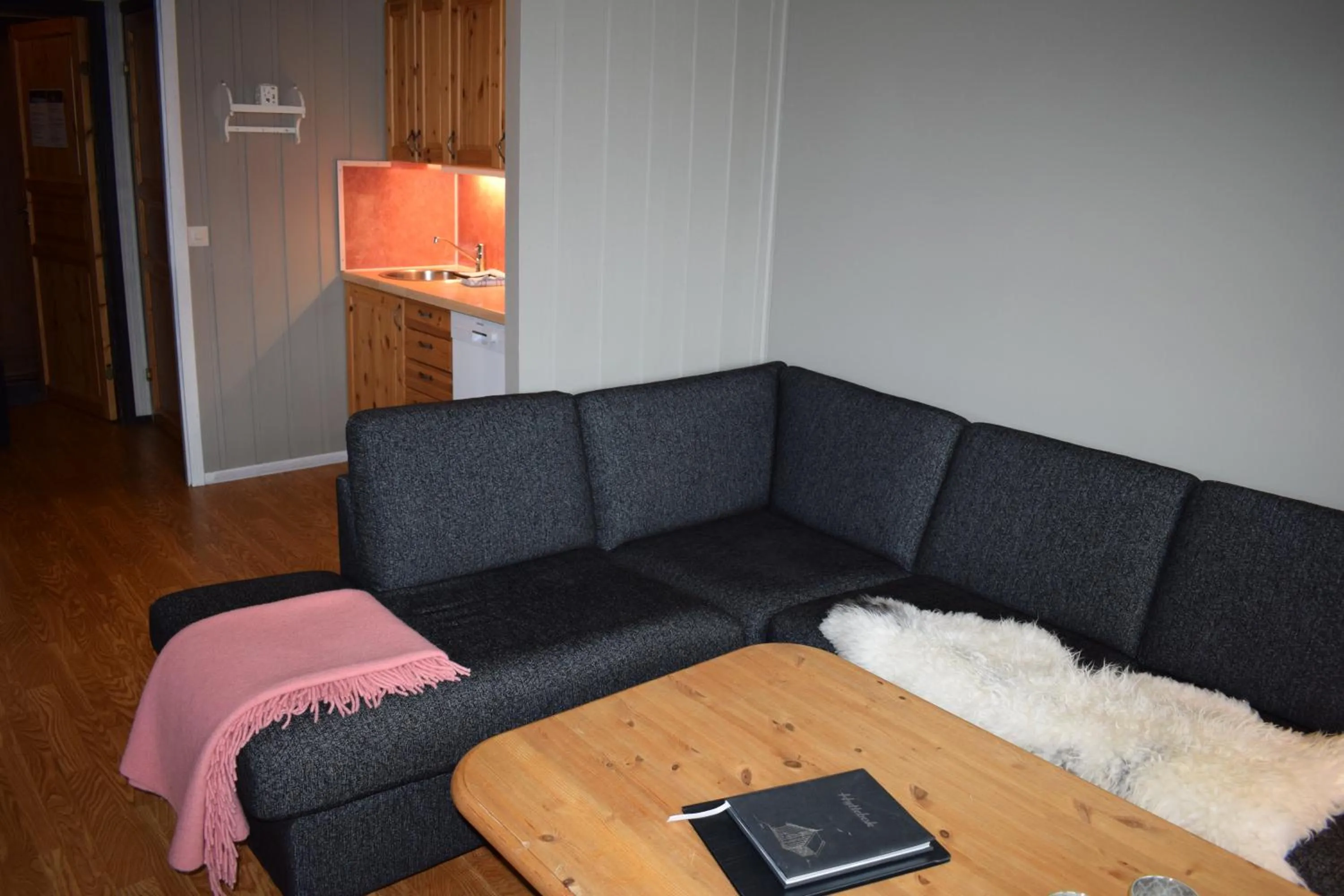 Living room in Skeikampen Booking