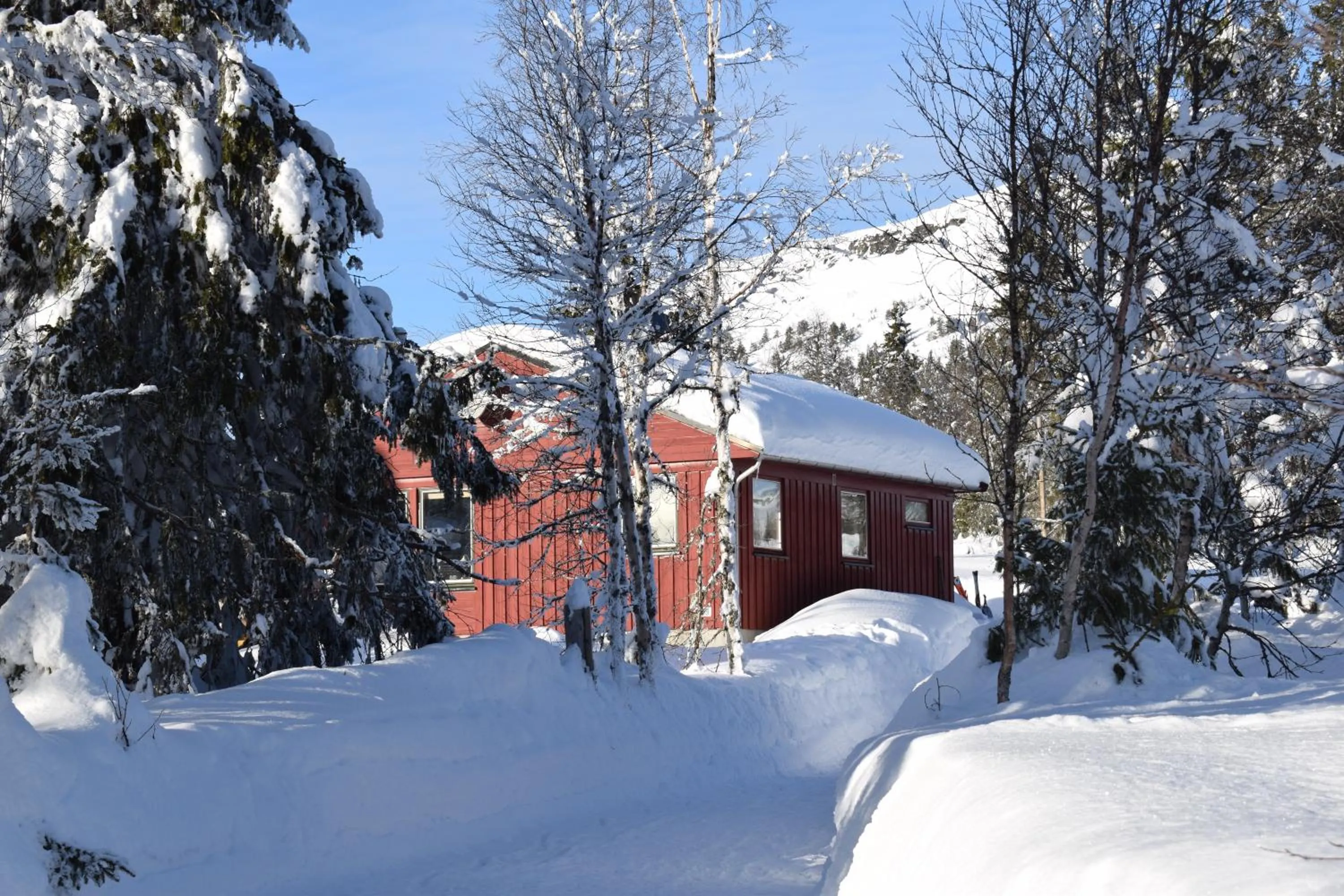 Property building in Skeikampen Booking