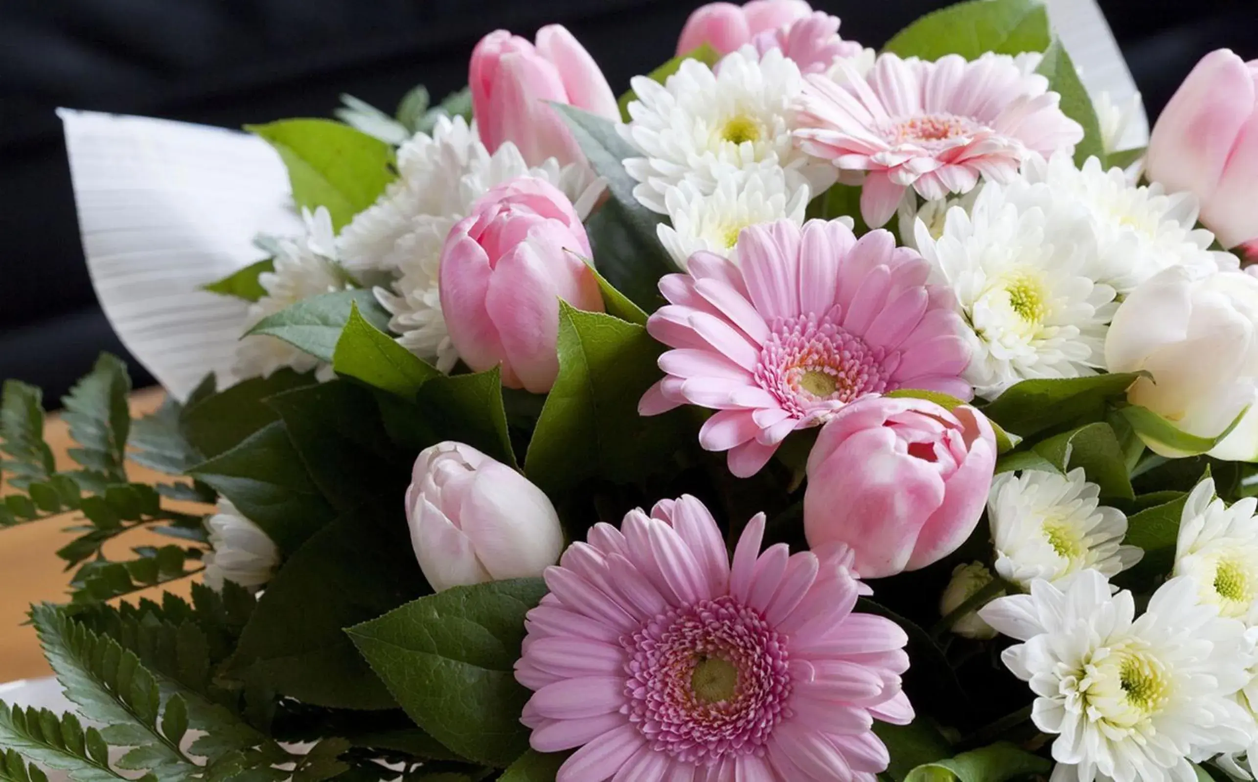 Standard Twin Room in Hotel Lille Europe Standard Twin Room in Hotel Lille Europe