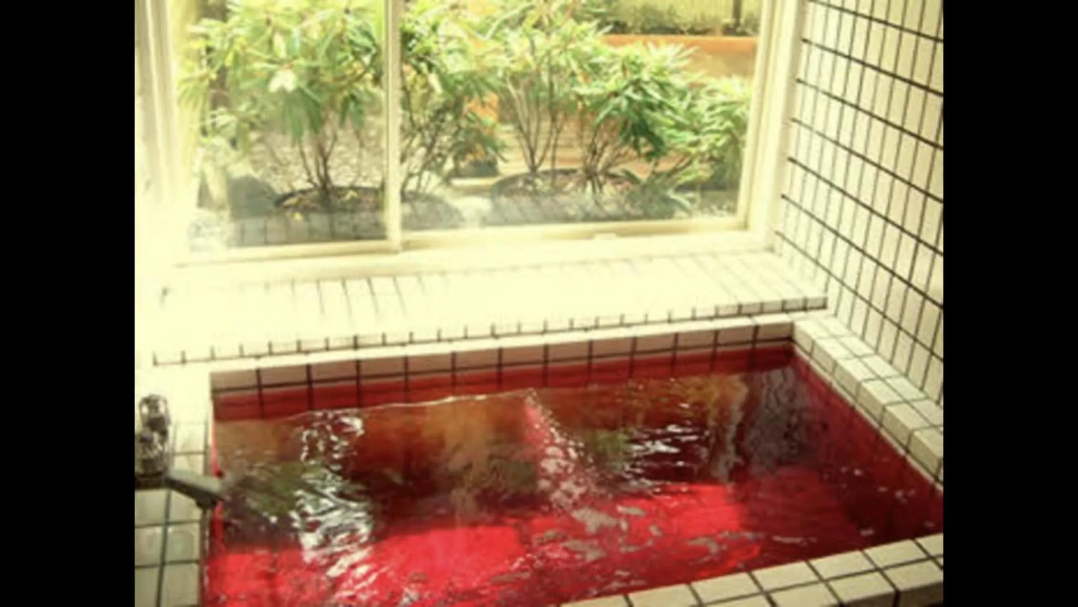 Public Bath in Shinkaifujishoen