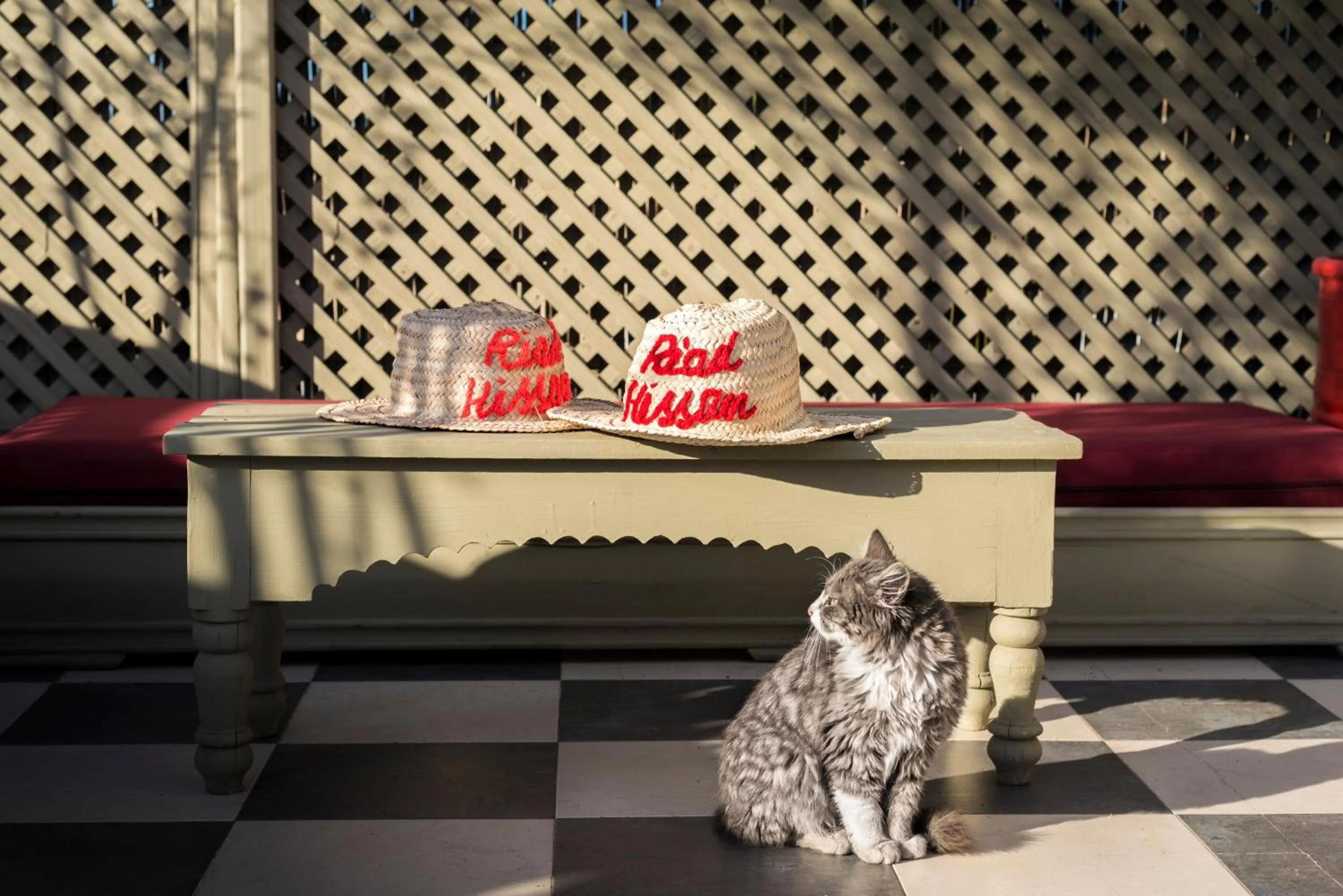 Balcony/Terrace in Riad Hissan
