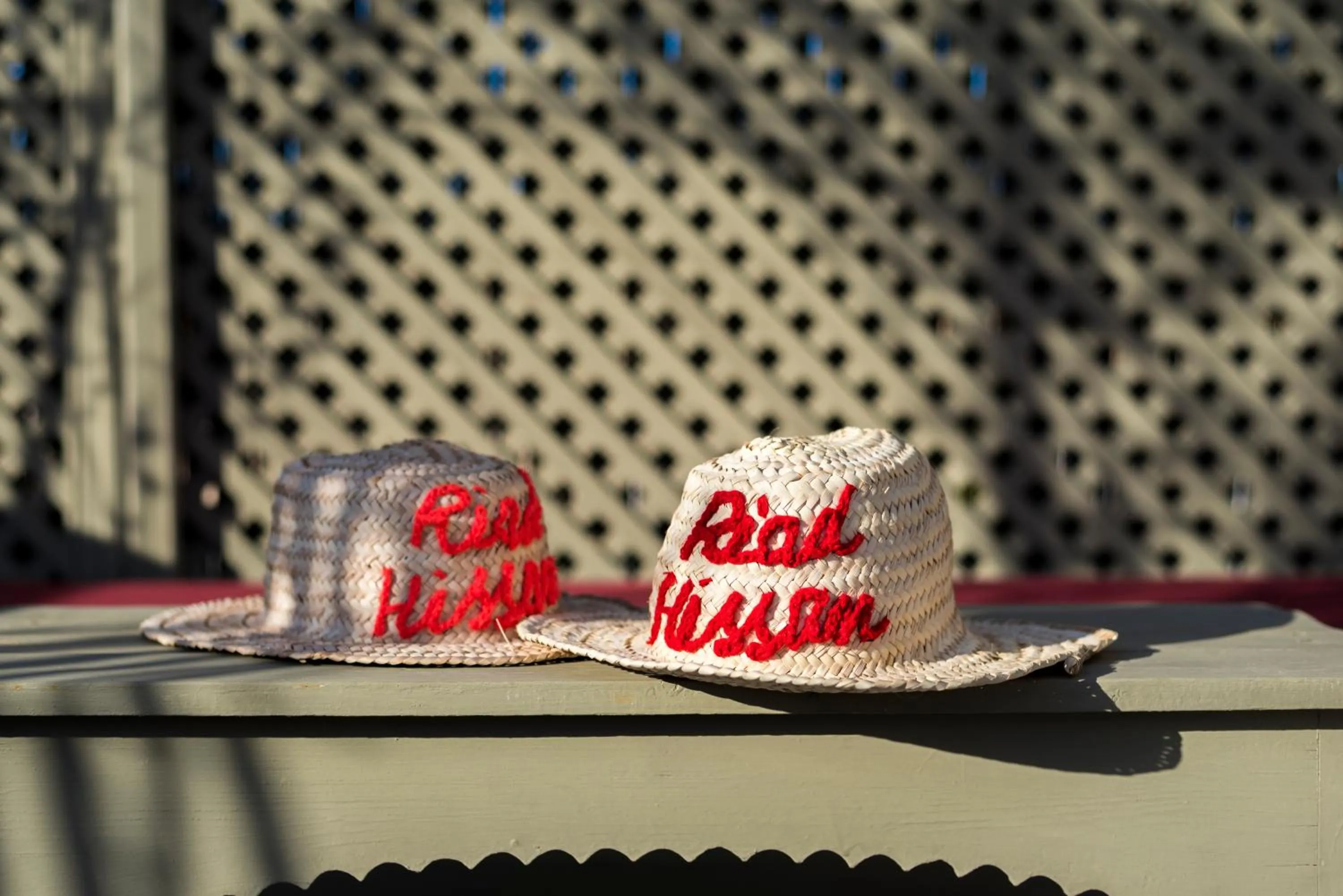 Decorative detail in Riad Hissan