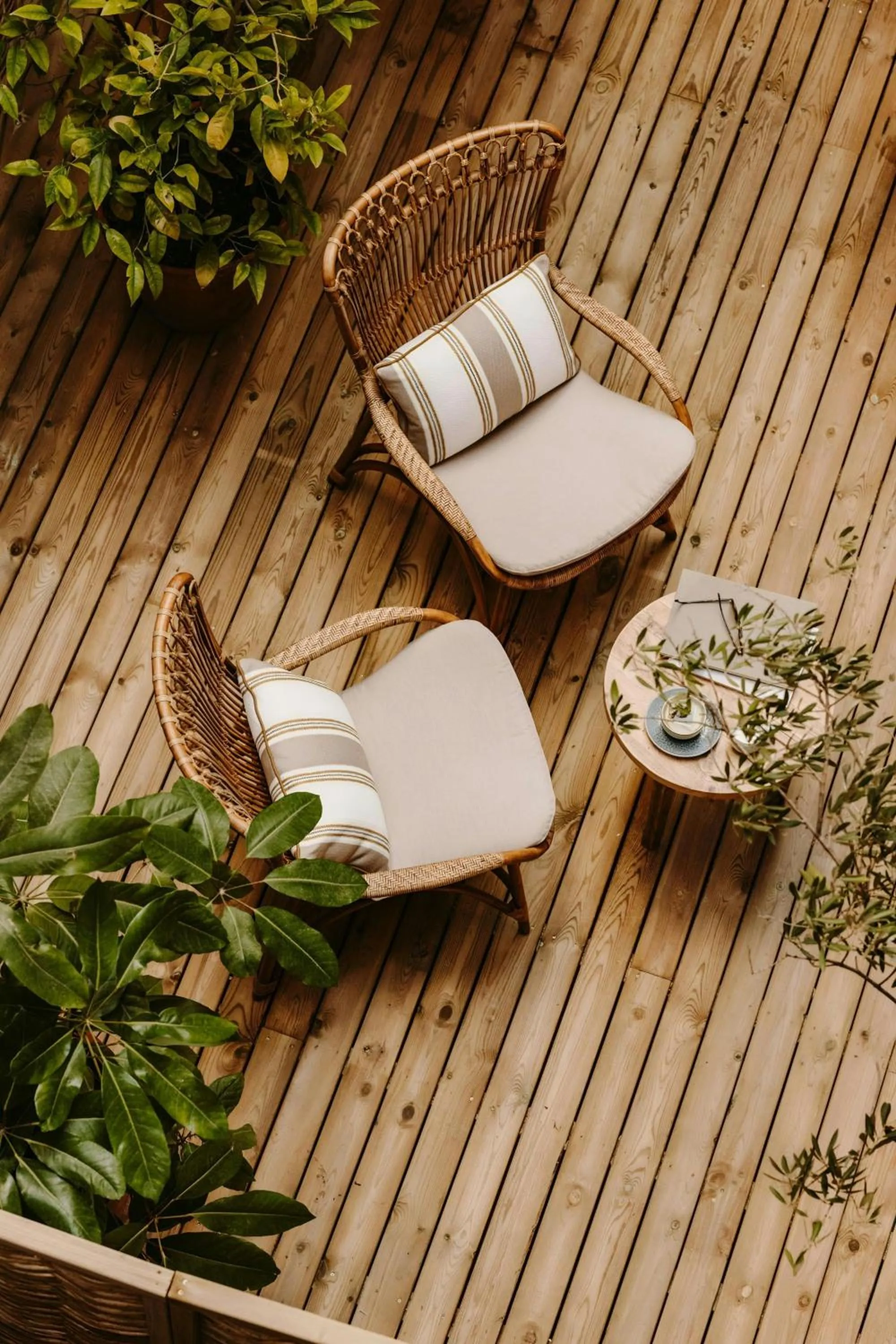 Patio in Hotel Casa Luz