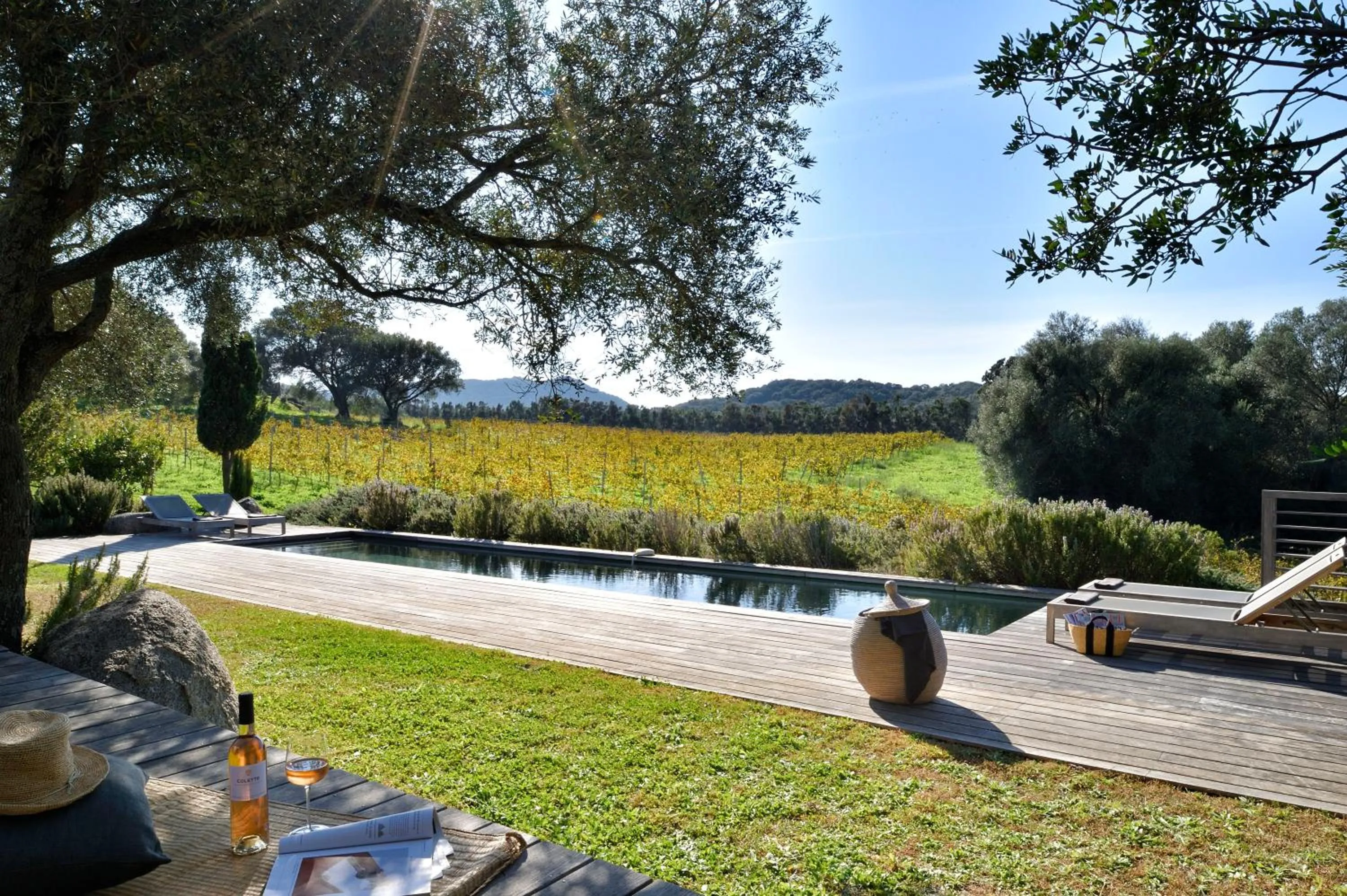 Garden in Domaine de Peretti della Rocca