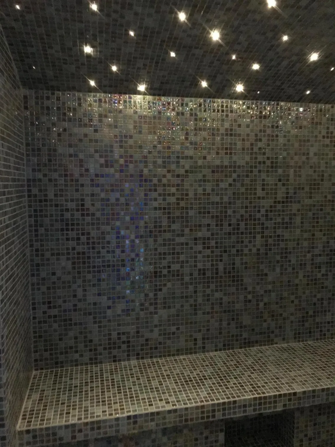 Steam room in Hôtel La Villa Port d'Antibes & Spa