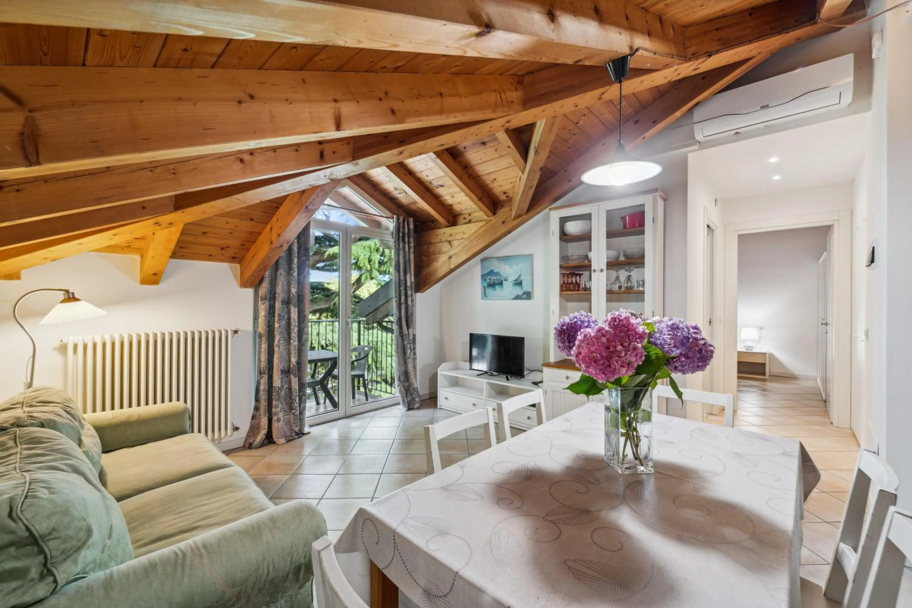 TV and multimedia in Green Village Accommodations