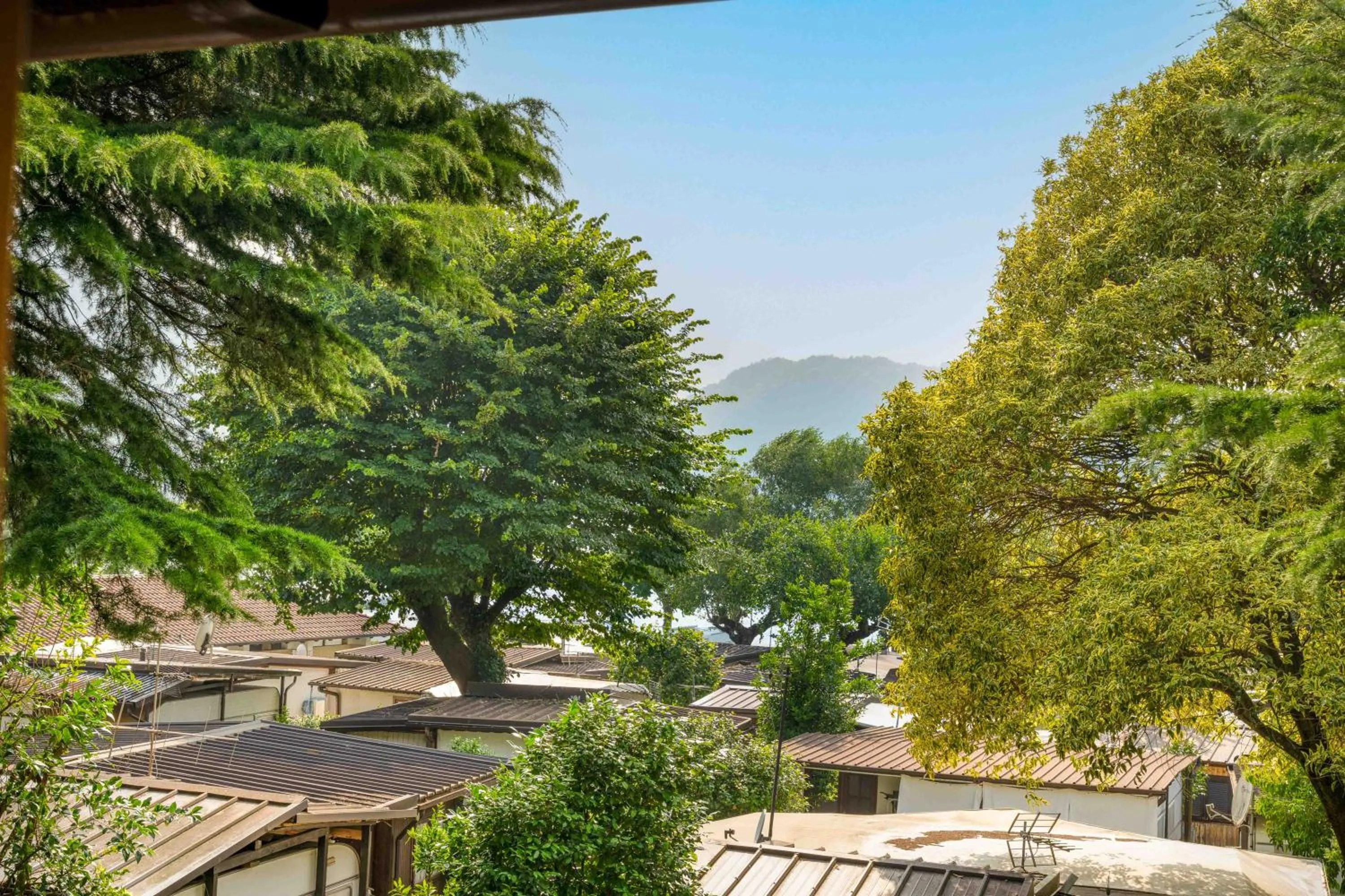 Day in Green Village Accommodations