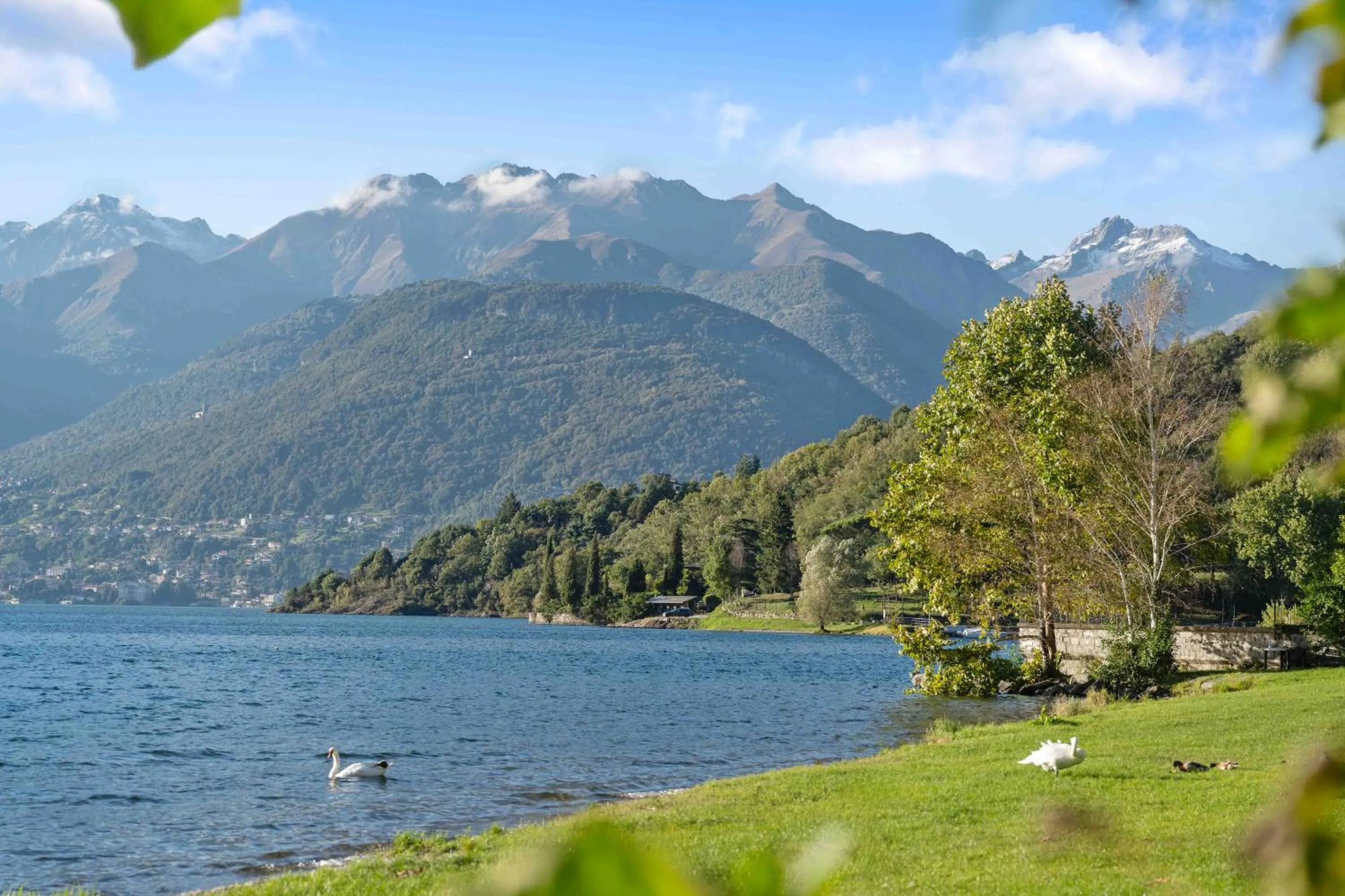 Day in Green Village Accommodations