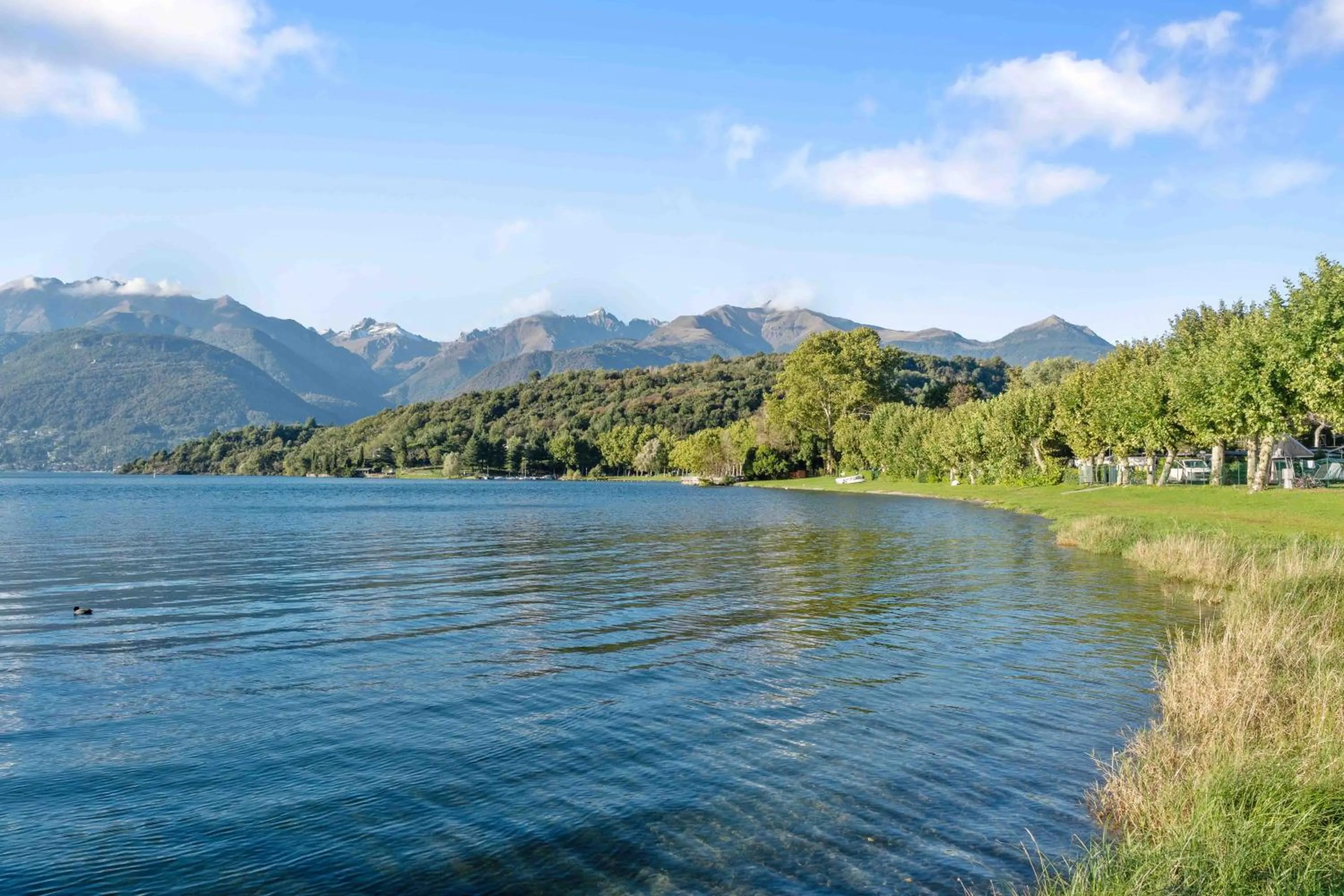 Day in Green Village Accommodations