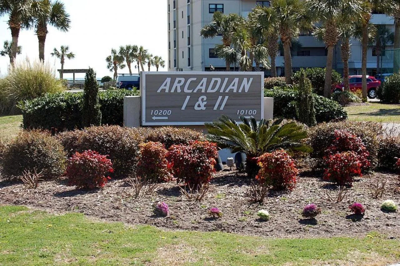 Arcadian II B11