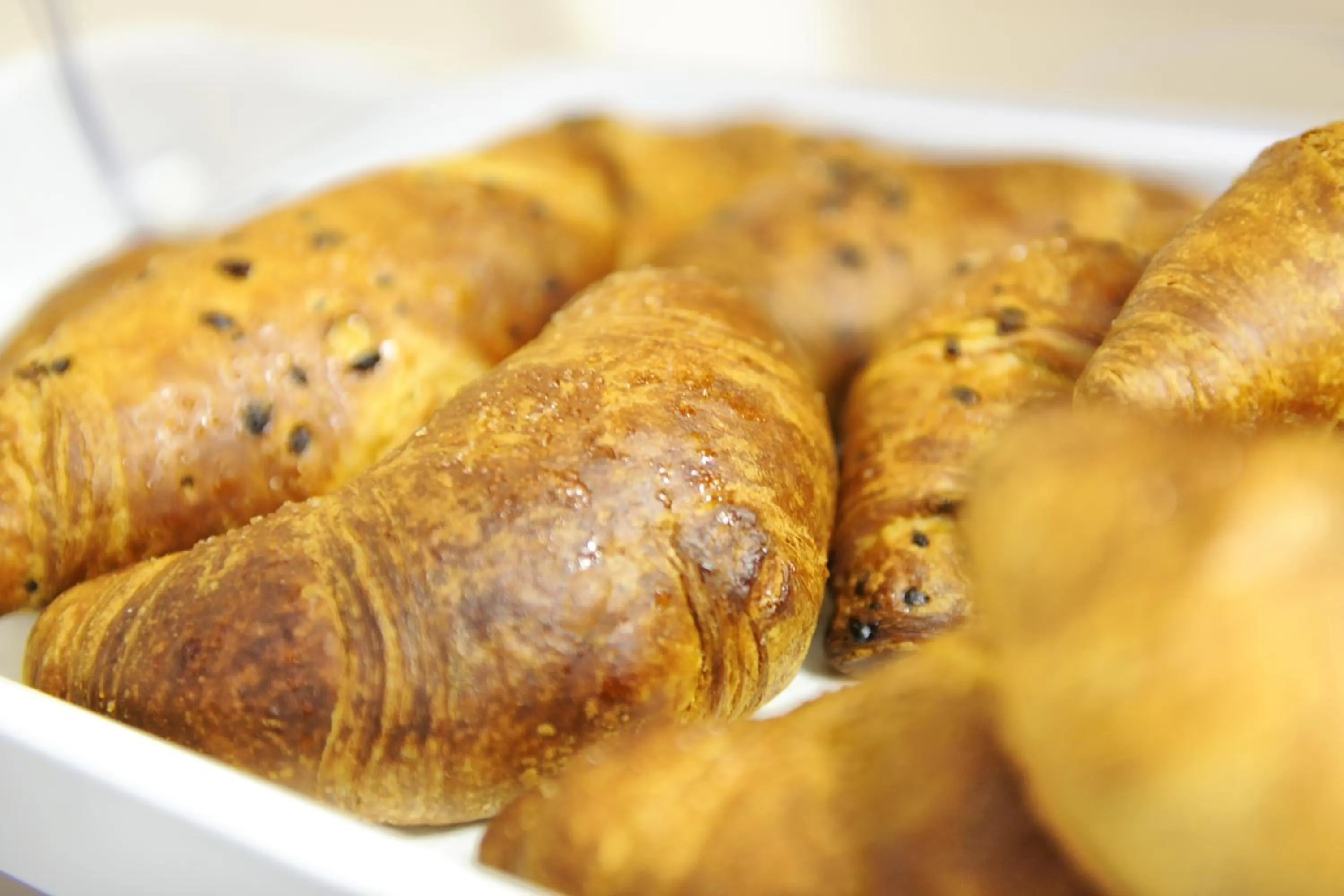 Restaurant/places to eat in Hotel al Corso