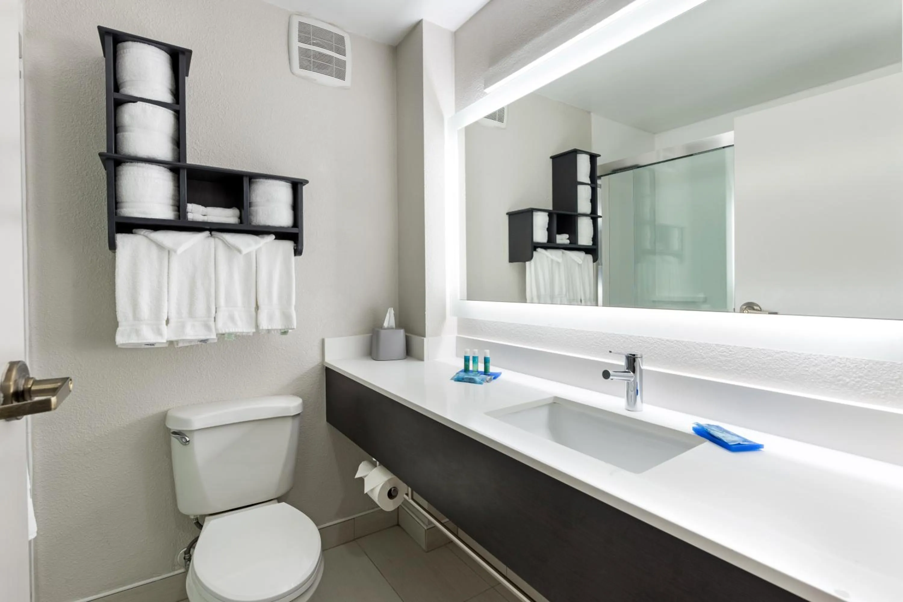 Bathroom in Holiday Inn Express - Columbus Downtown by IHG